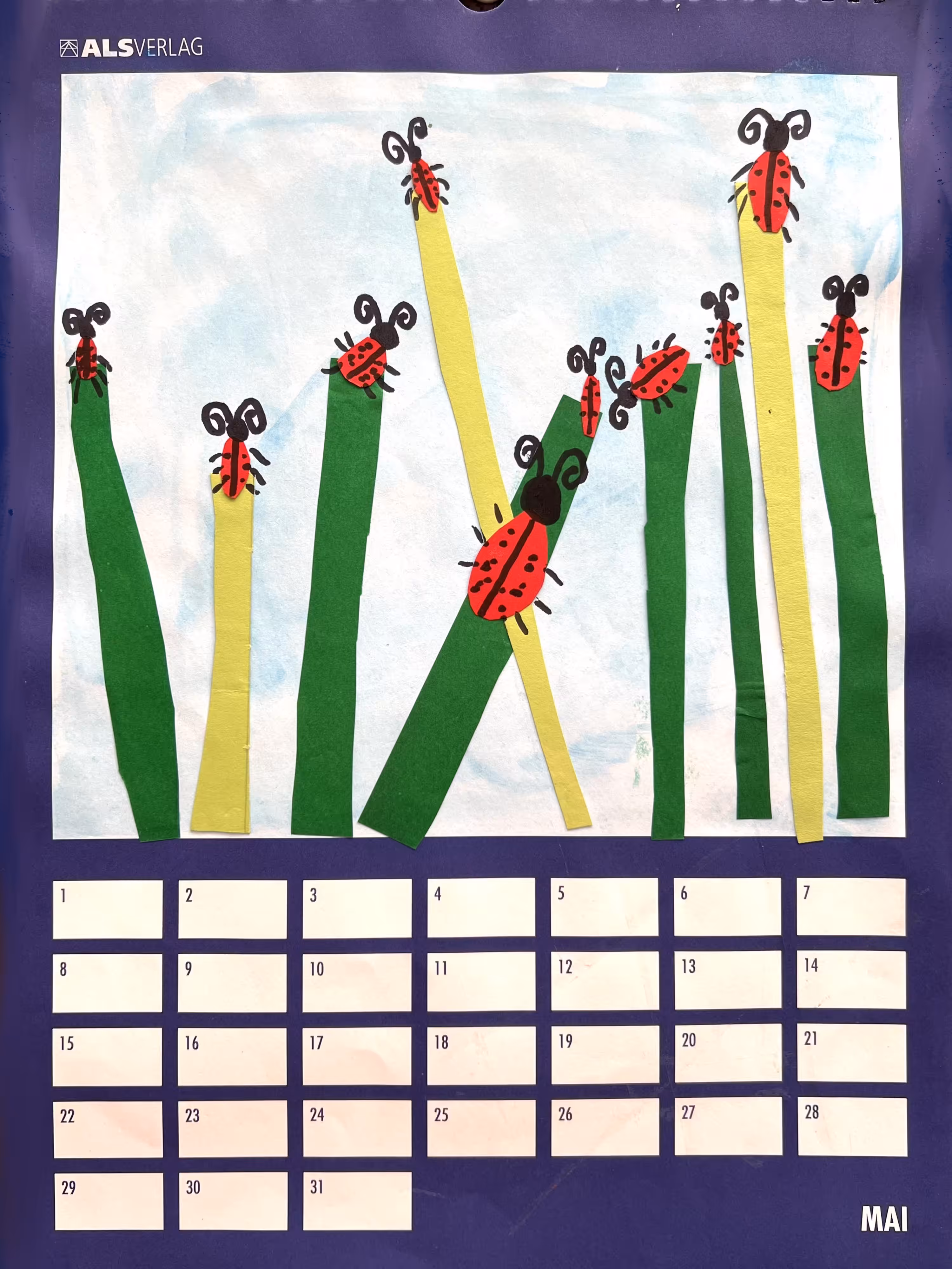 Ladybugs