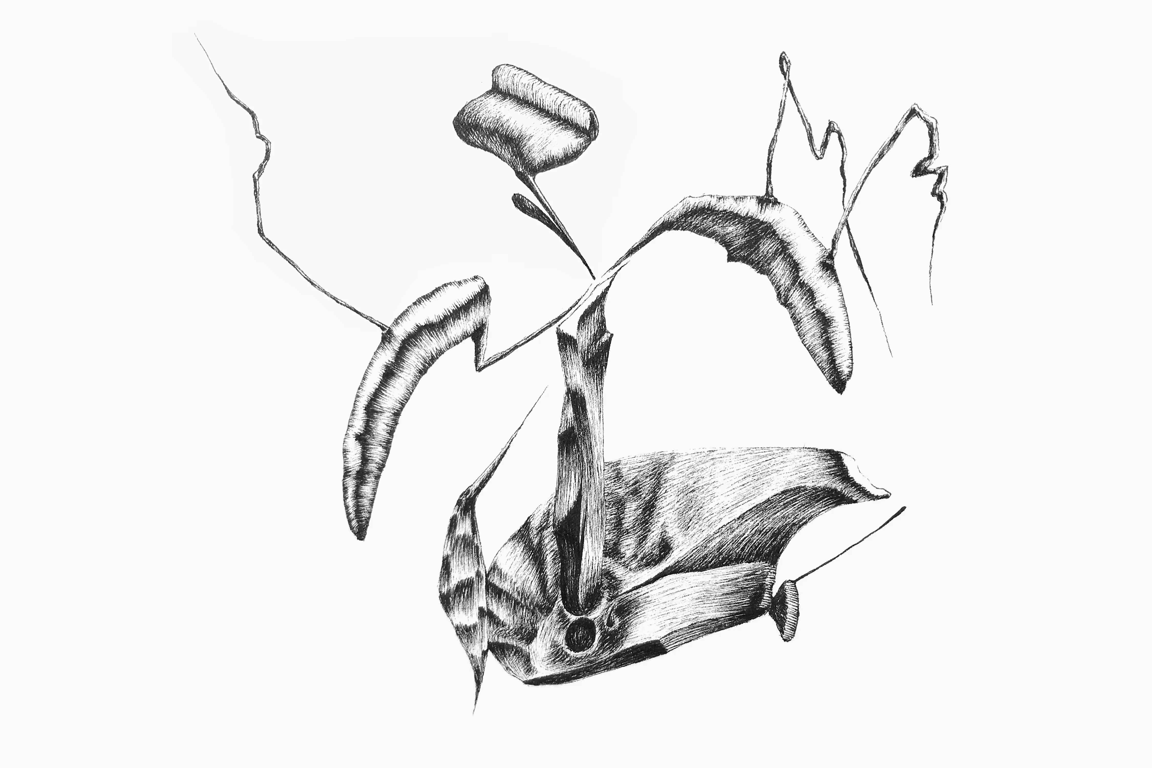 The Nectar