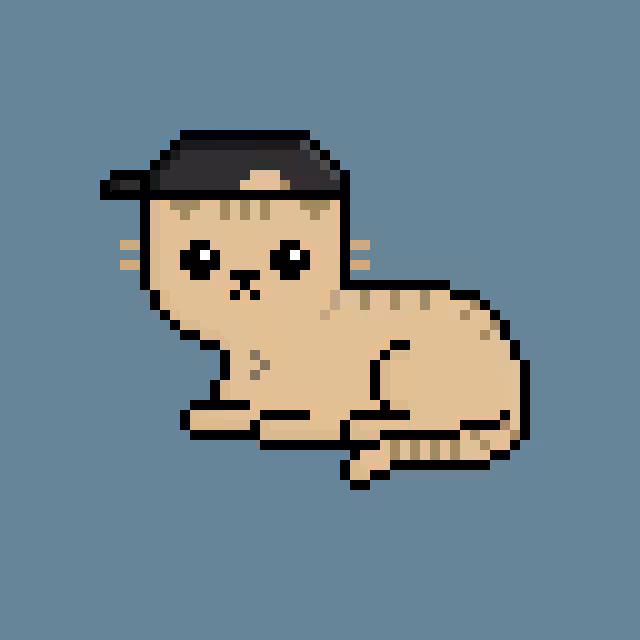pixel kitten: Pixel Kitten #0006