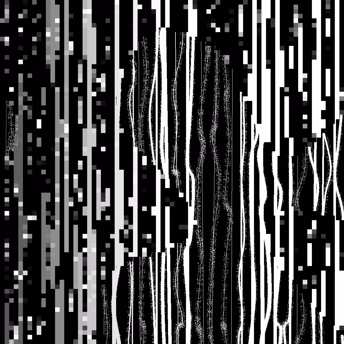 Distorted Lines Study #4