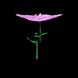Digital Daisy