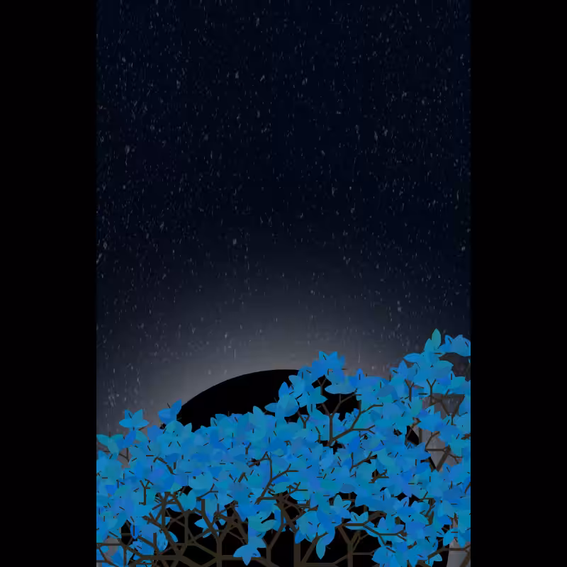 Moonlight Sonata #104