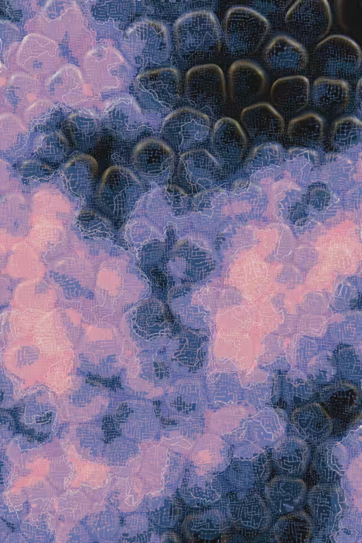 Vitreous #71