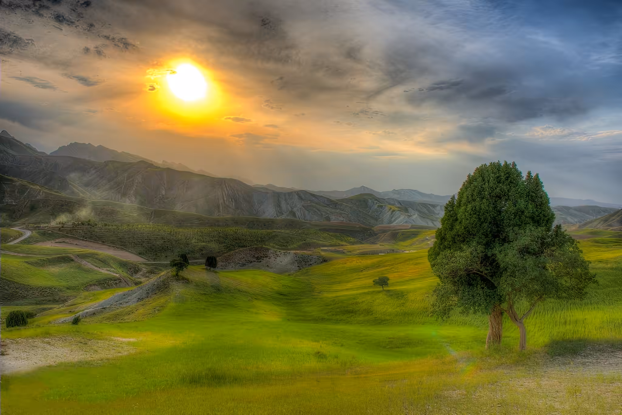 Green Paradise
