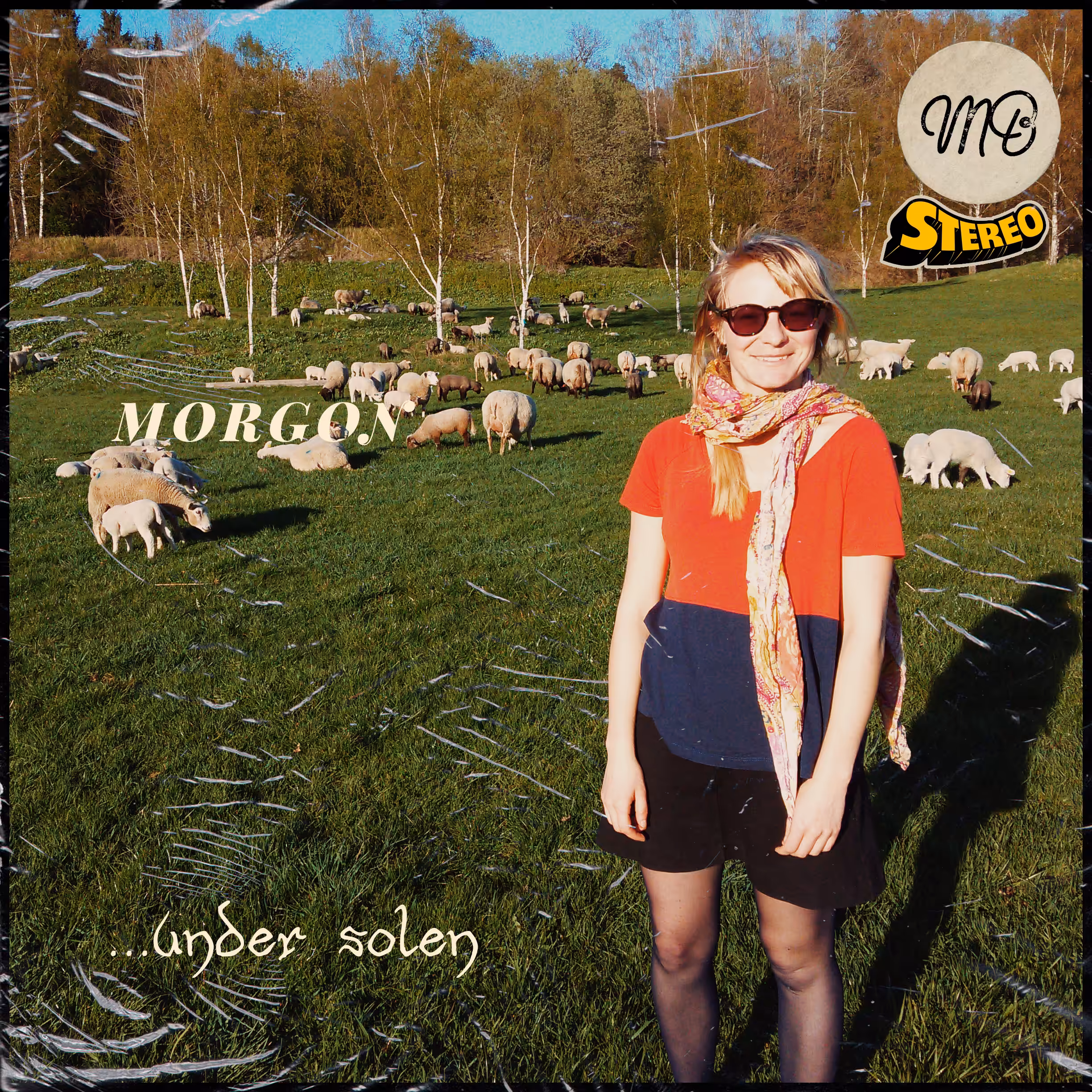 Morgon - ...under solen
