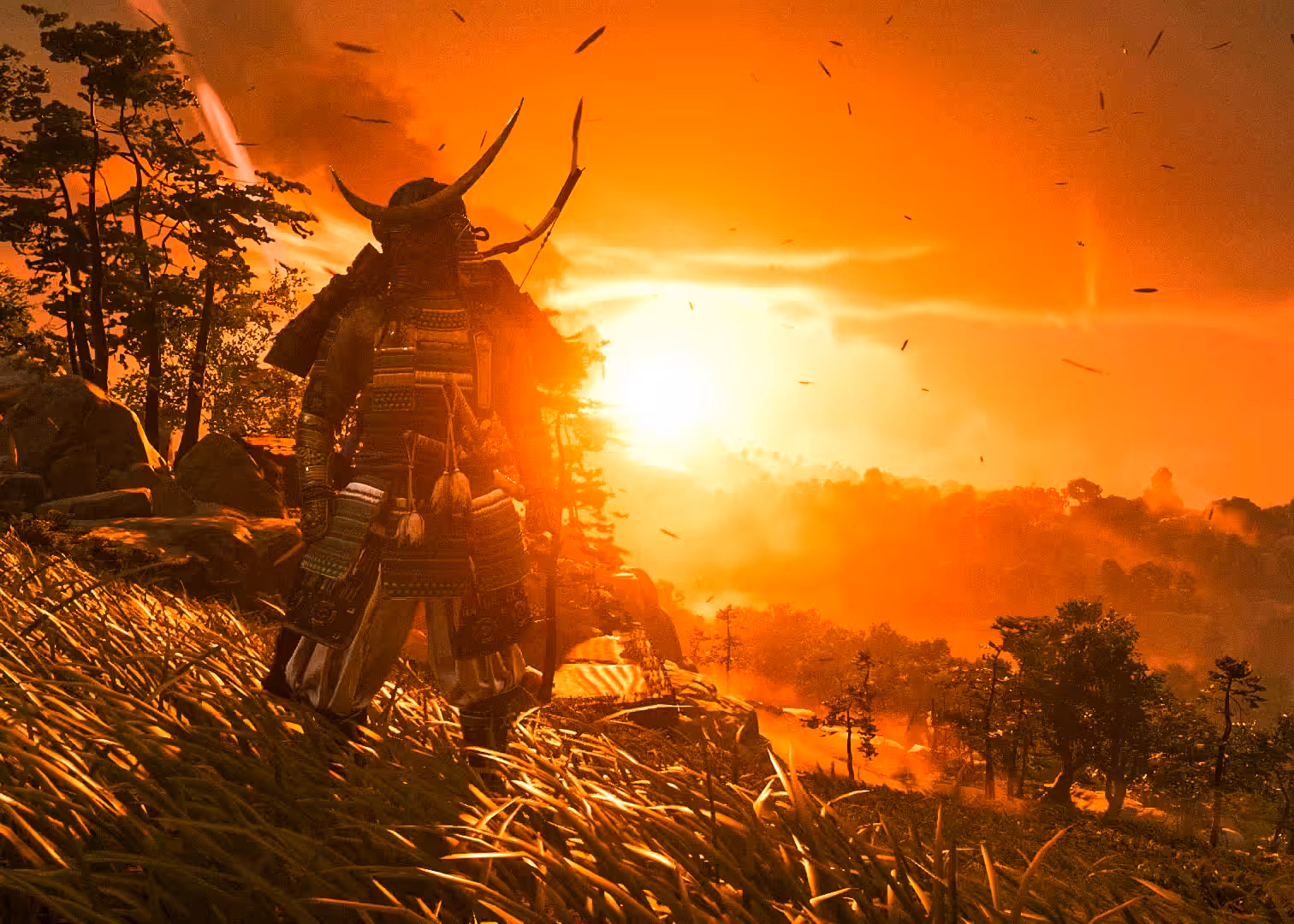 Sunset samurai