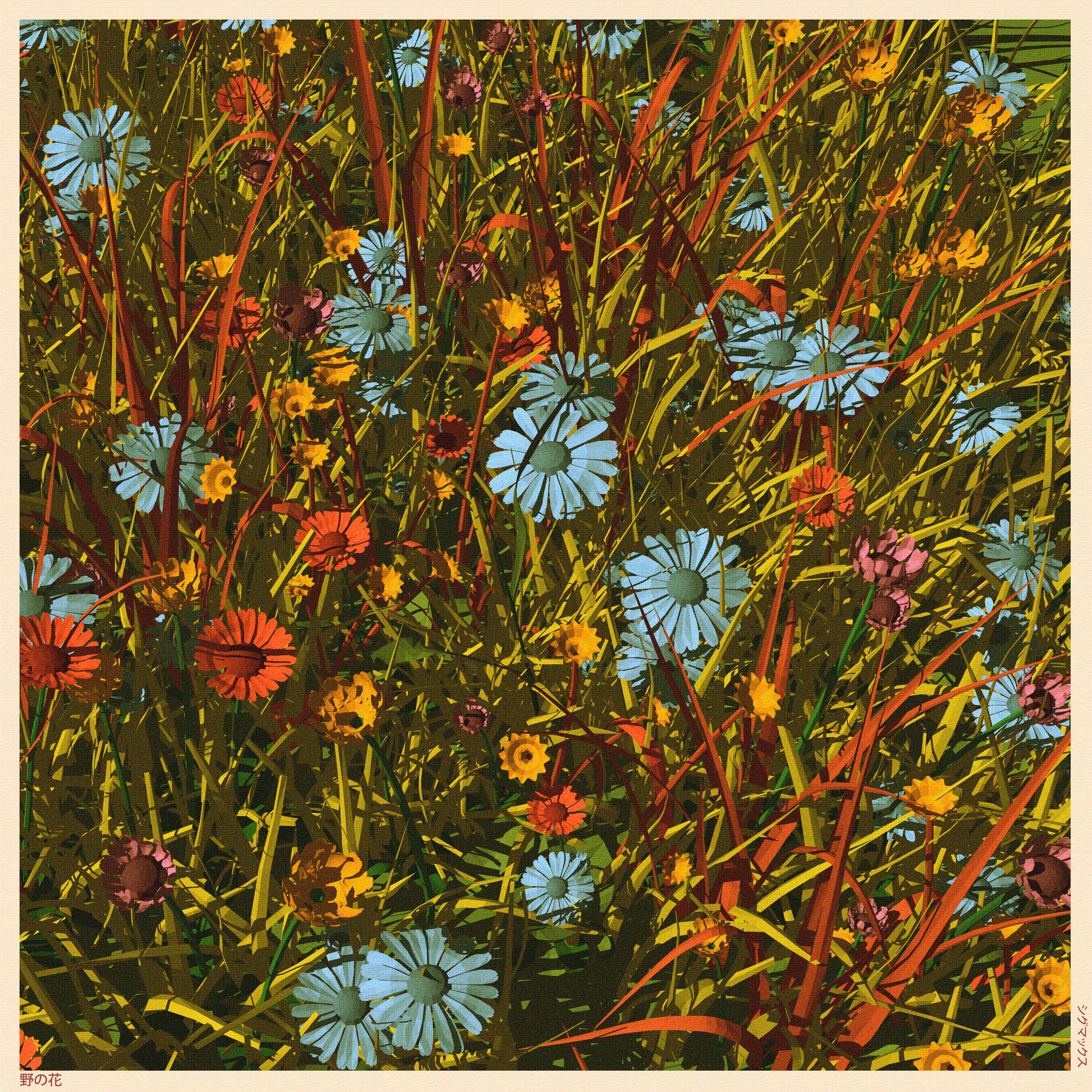 Wildflowers - 野の花