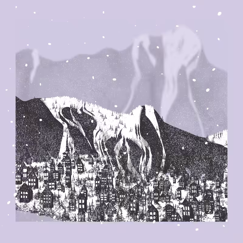 White Mountain Winter #27