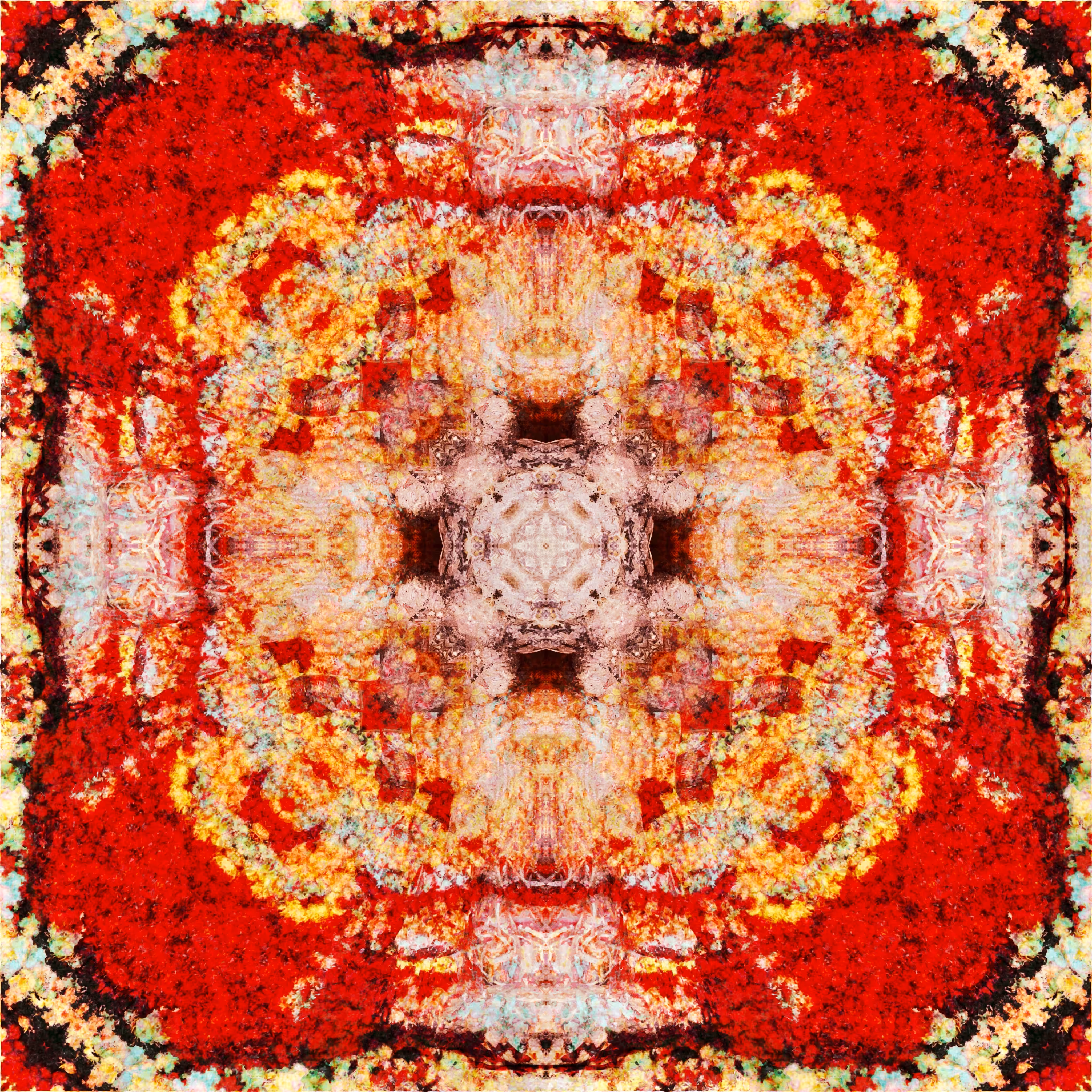 Old Carpet