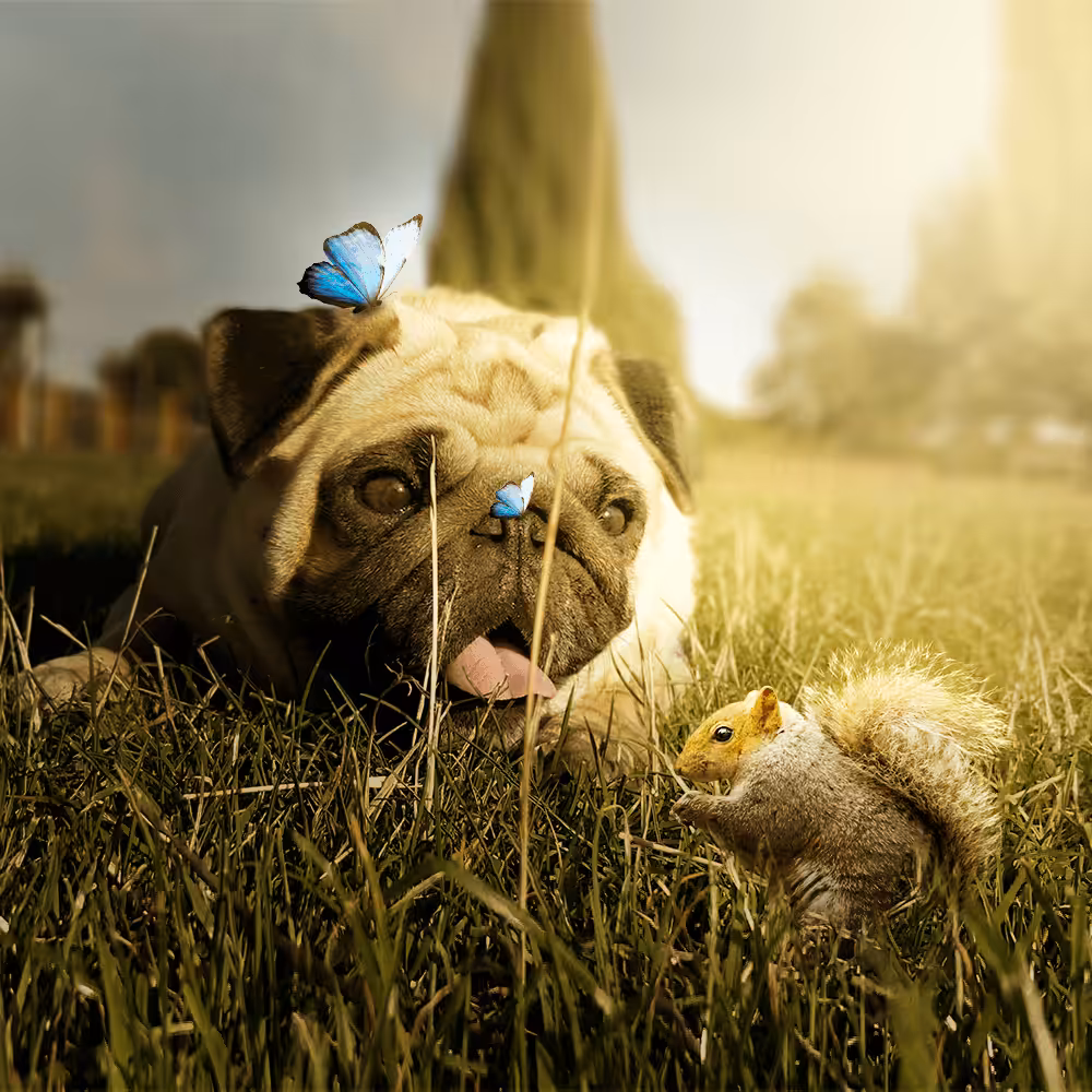 Fantasy Manipulation #59