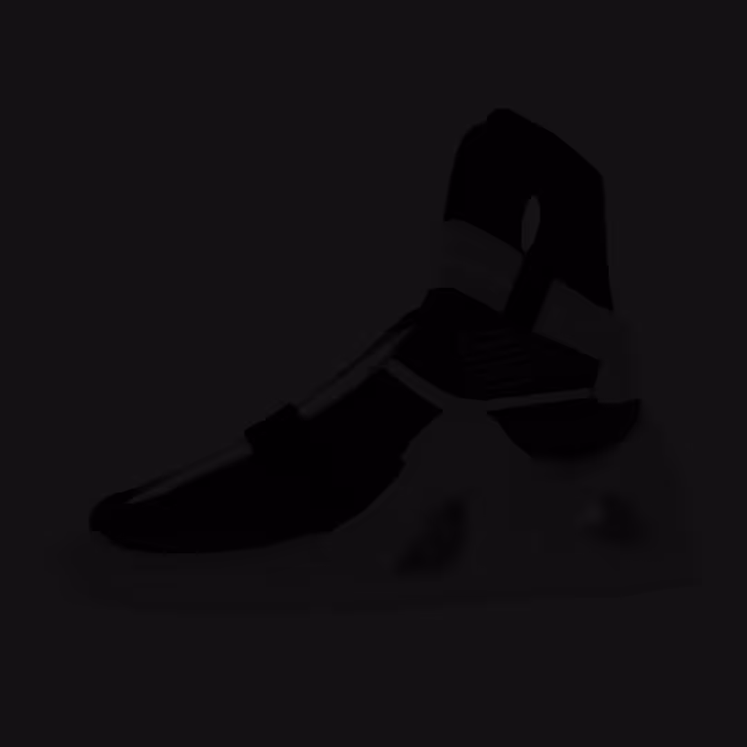 #02 hicetshoe 