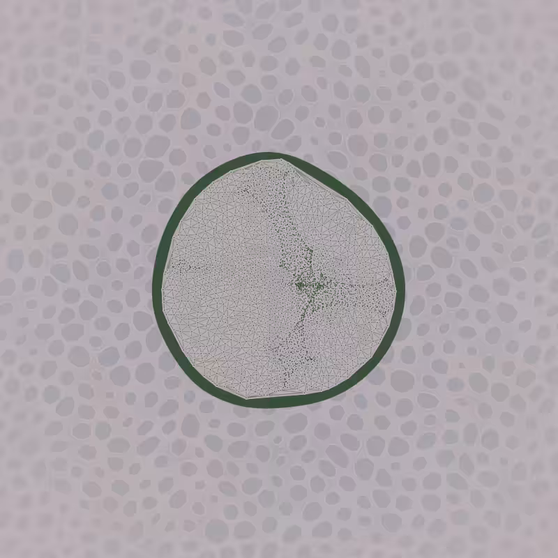 Protista #13