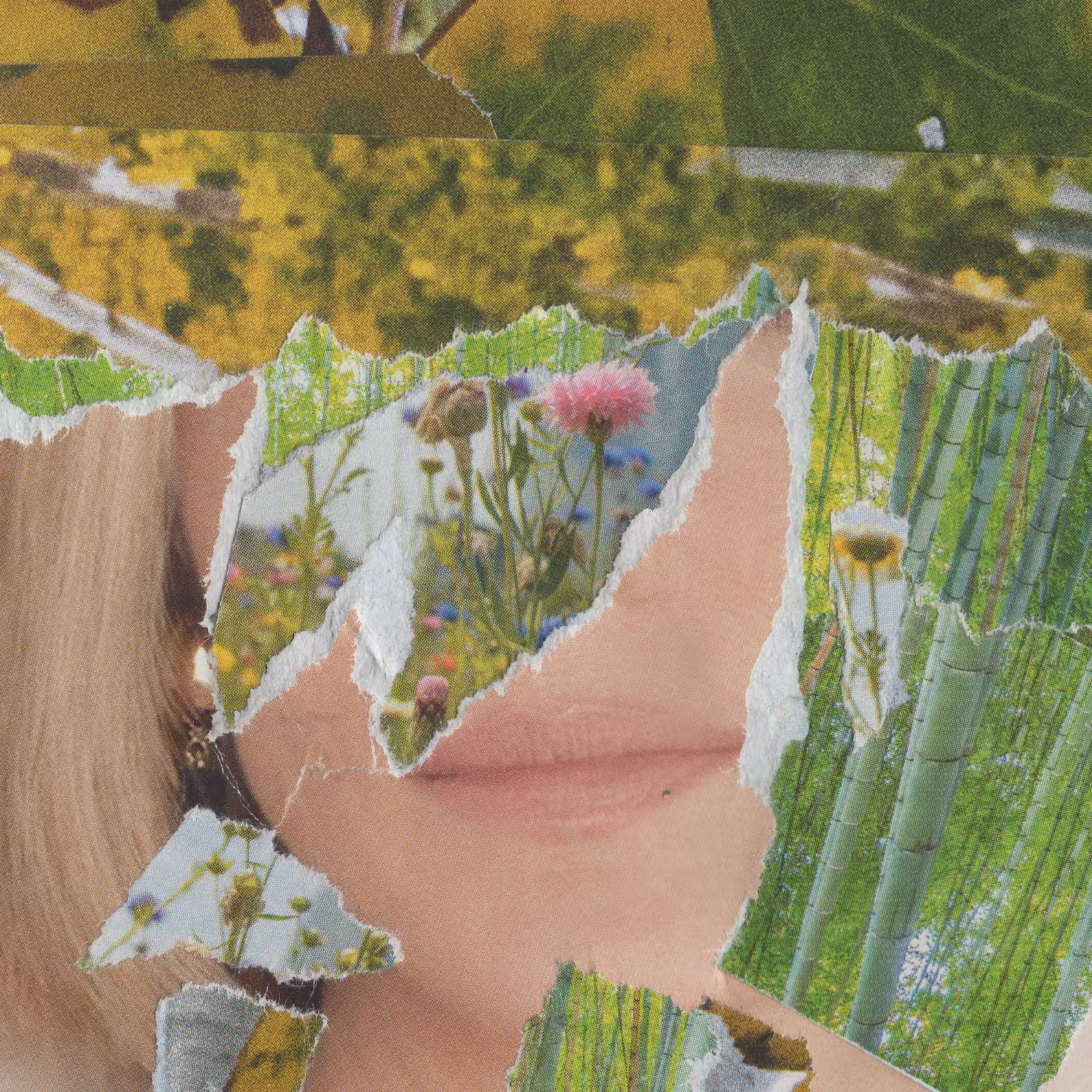 1mouth analog #152