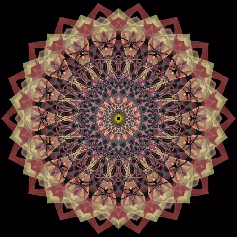 Morphing Mandala - #fxhashturnsone charity #84