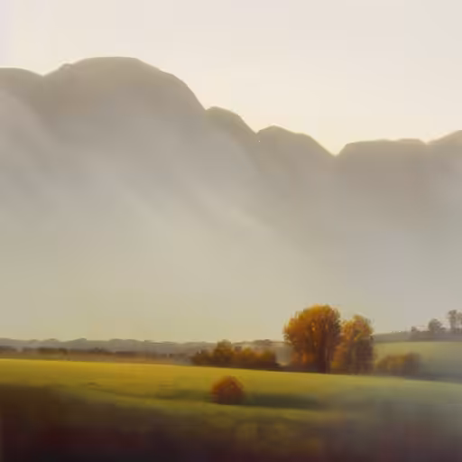 Daydreams #2