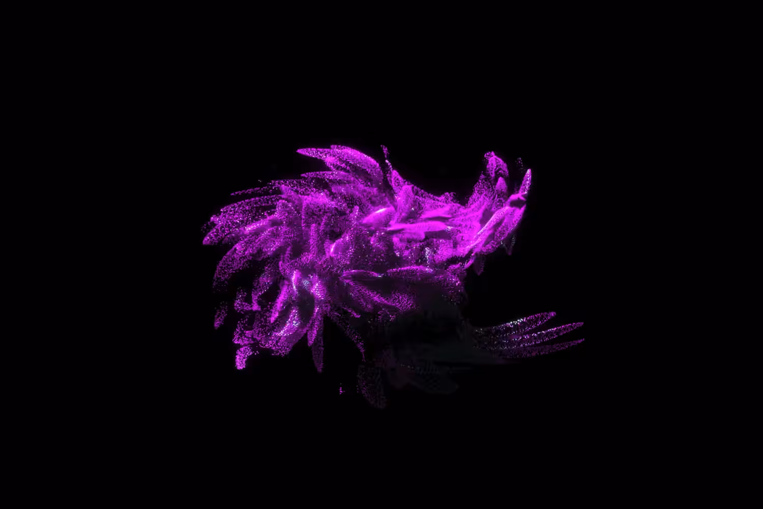 A Dança das Flores (The Dance of the Flowers)