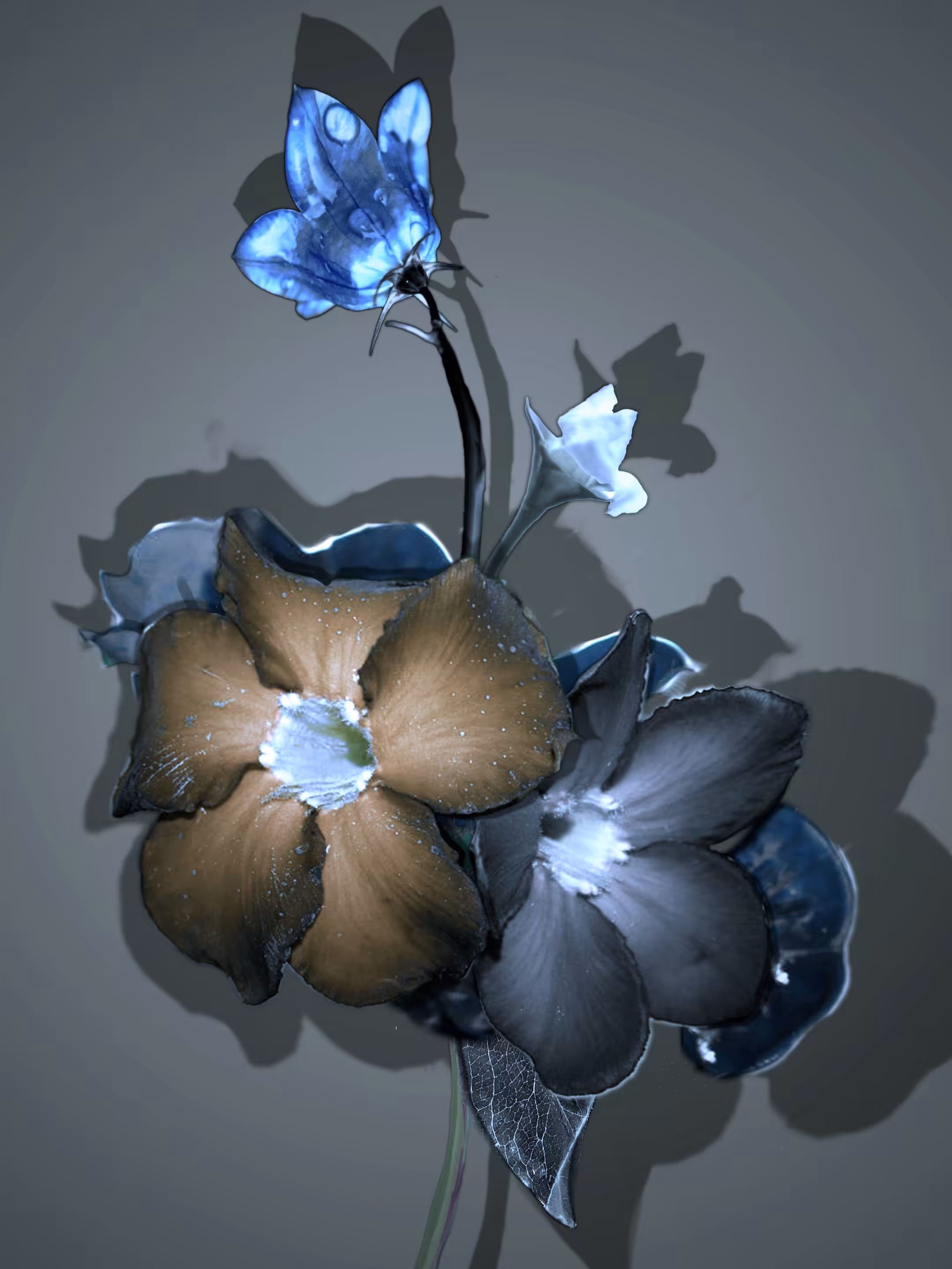 Bouquet 3 #1
