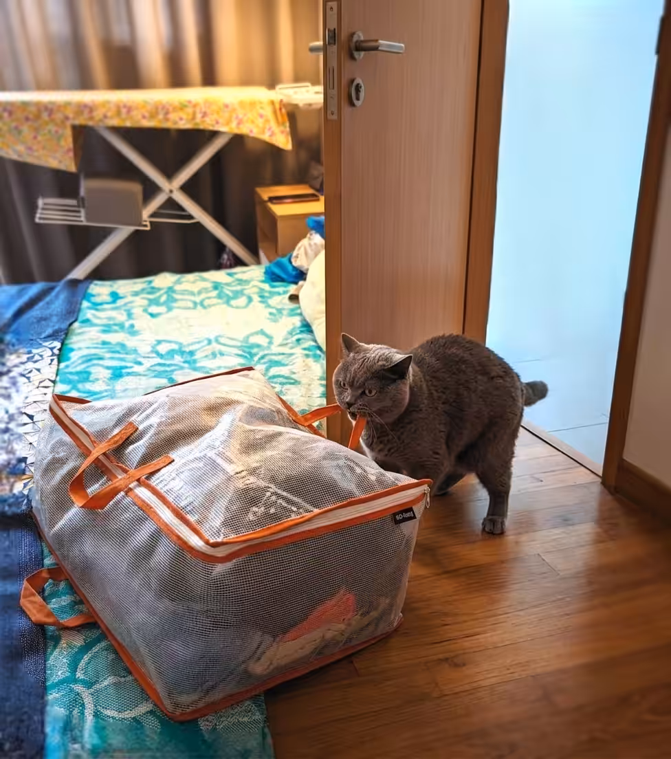 Where are my things?! I'm leaving you!