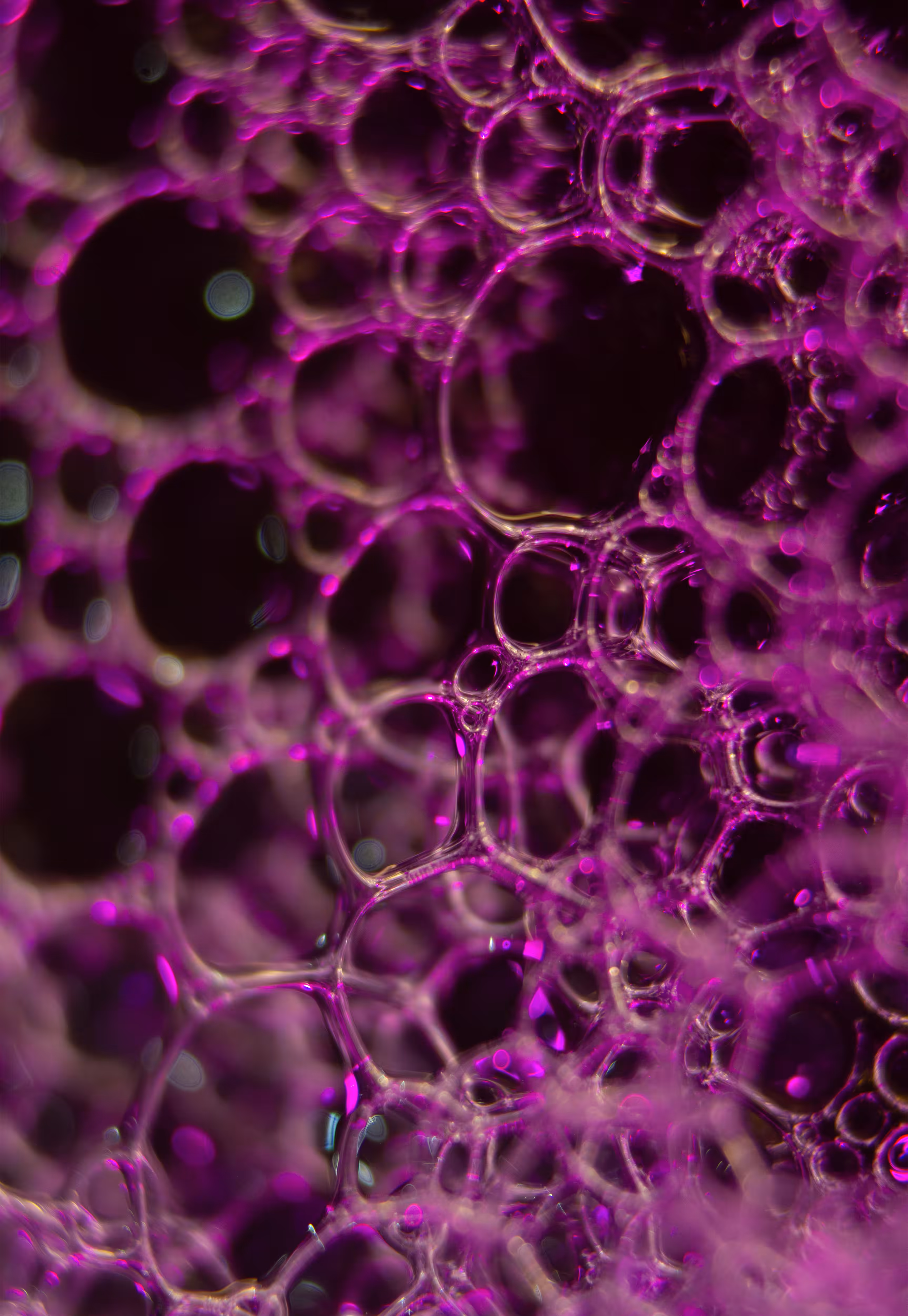 #44 Bubbles