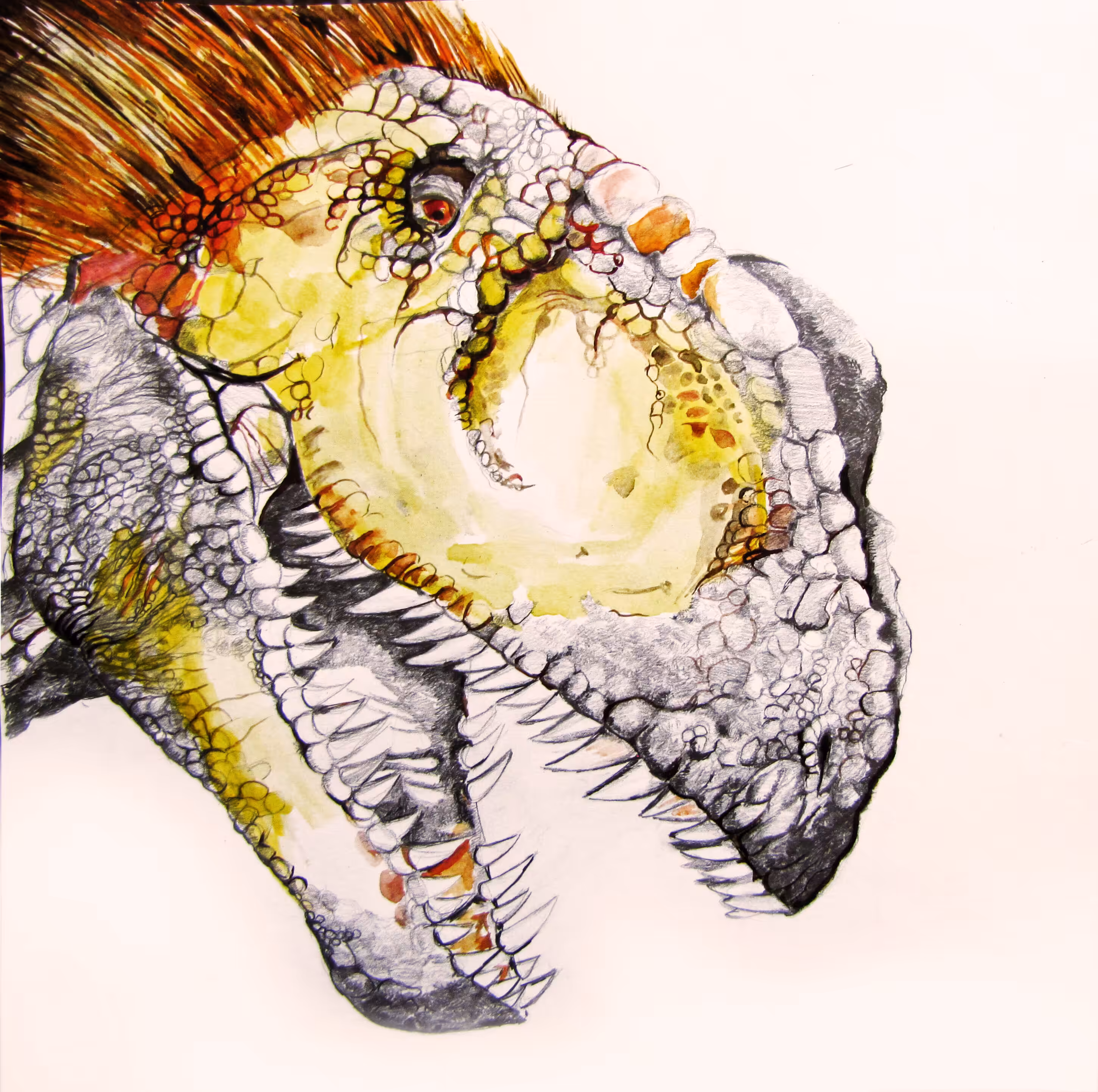 Dinosaur