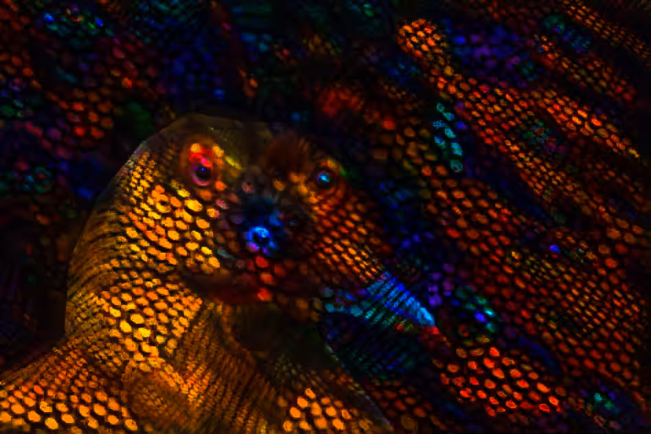 Microcosmos number five