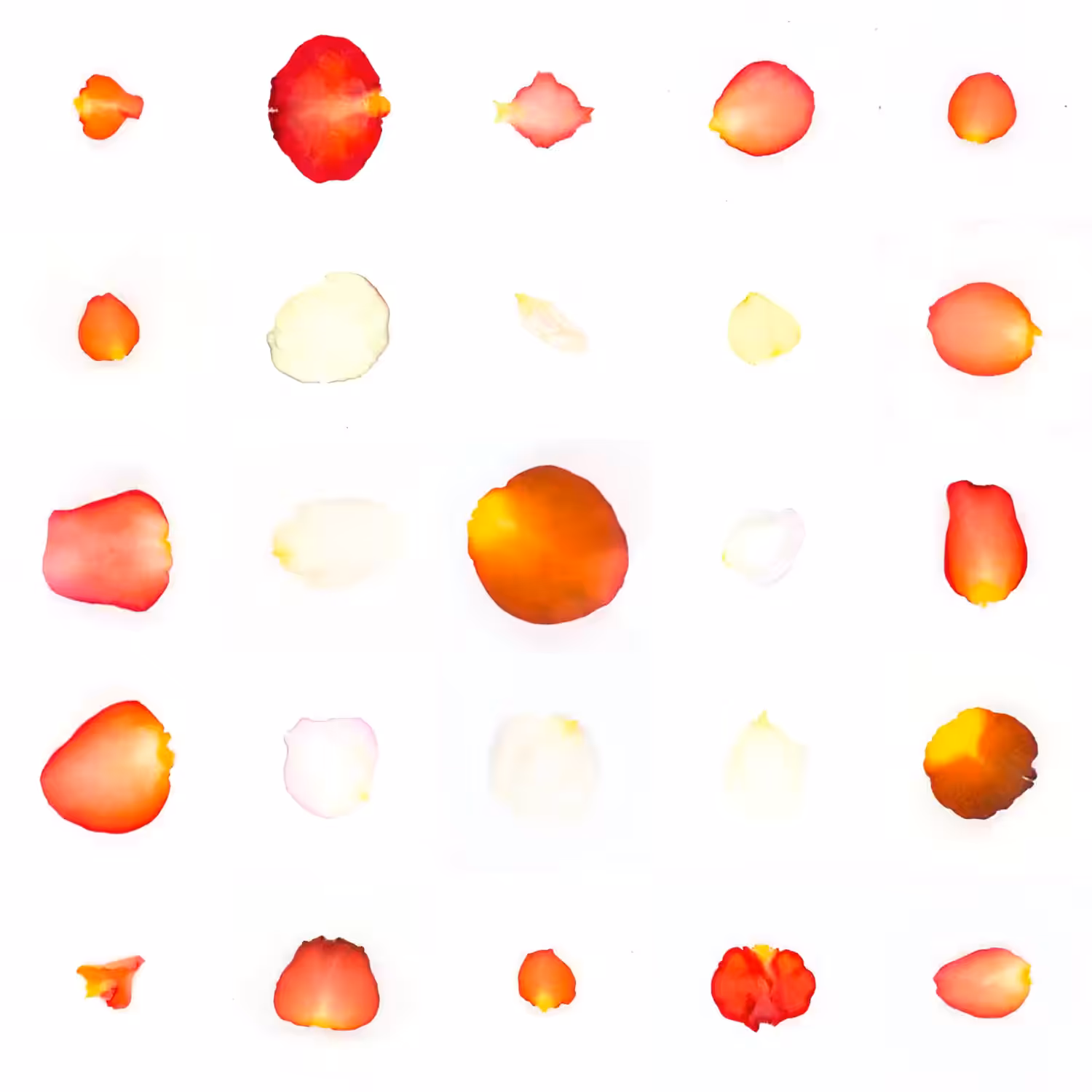 Infinite Petals 5x5#11