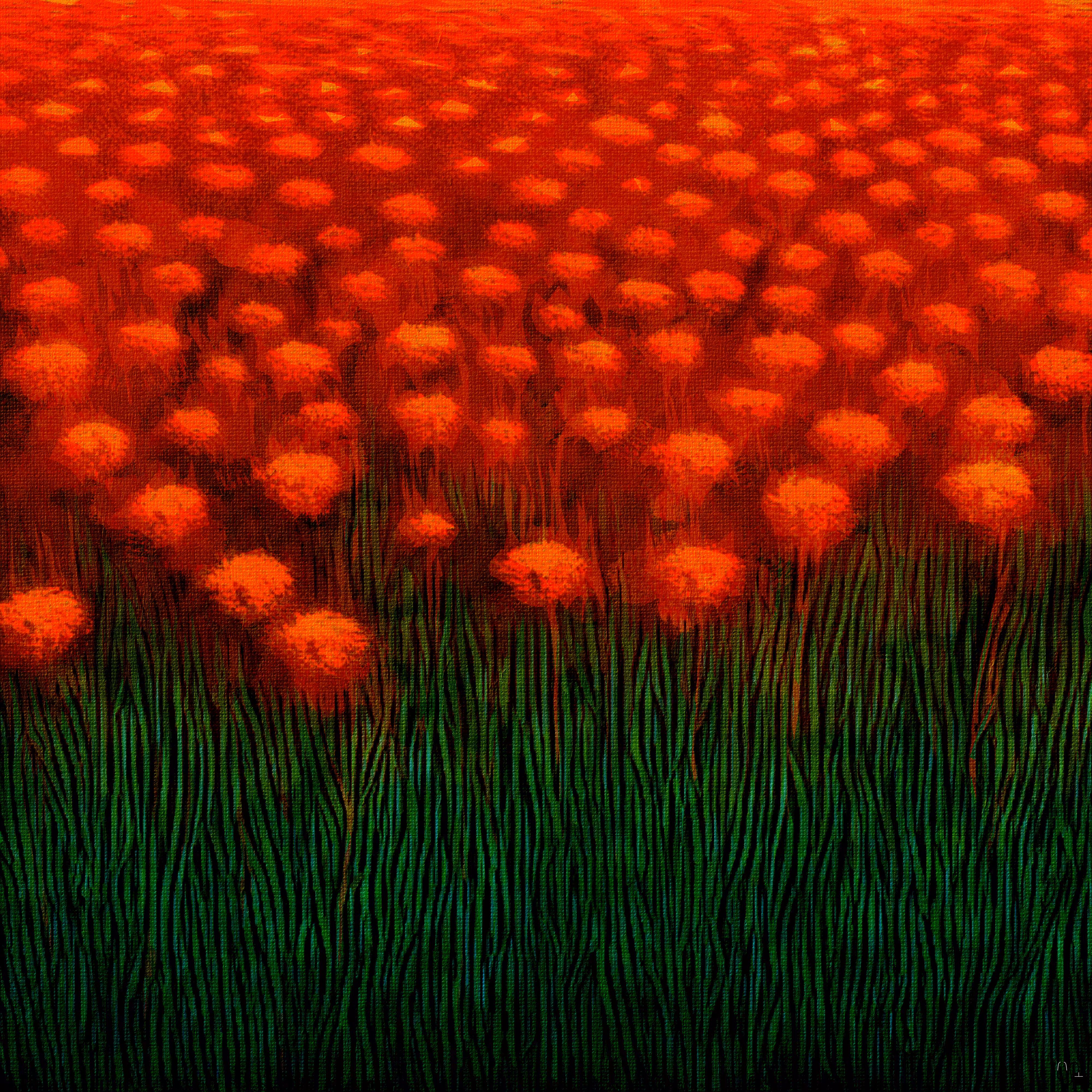 Red Flowers