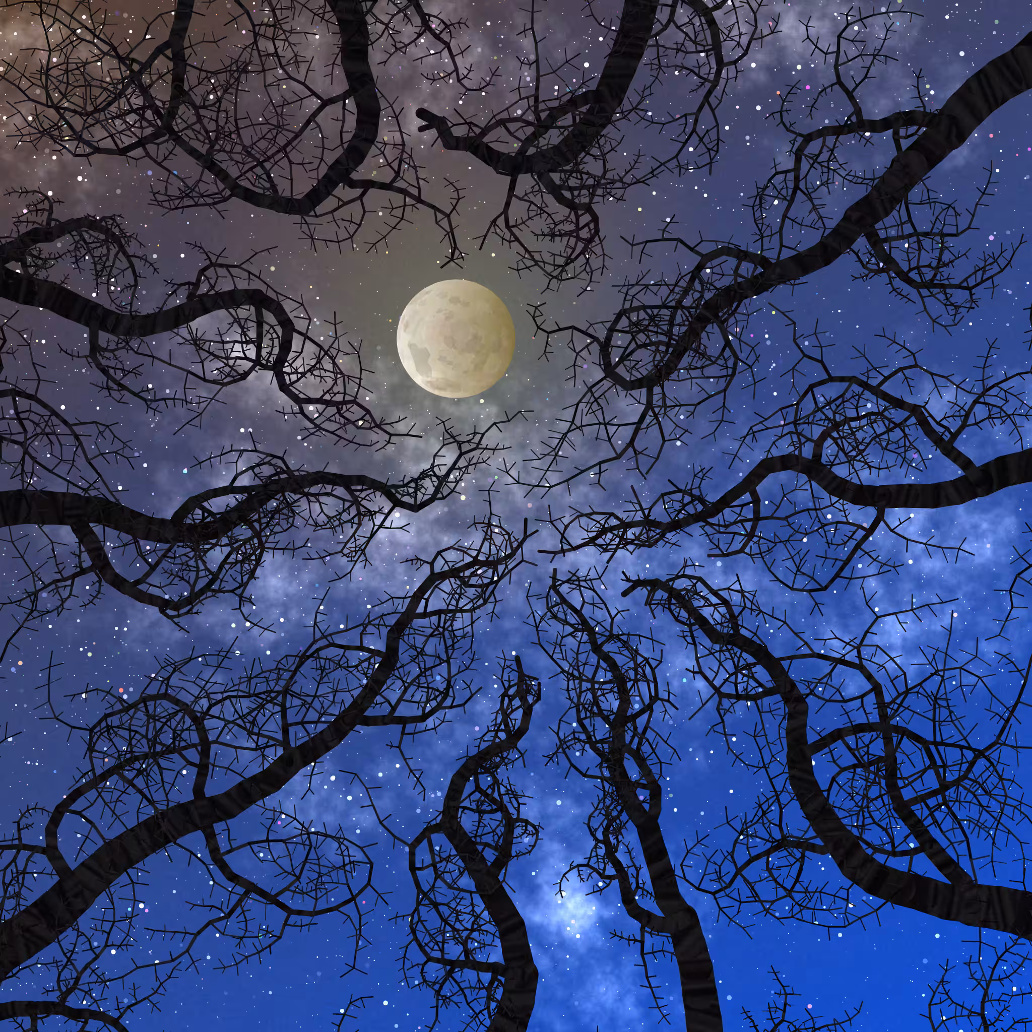 Tree Skyness #138