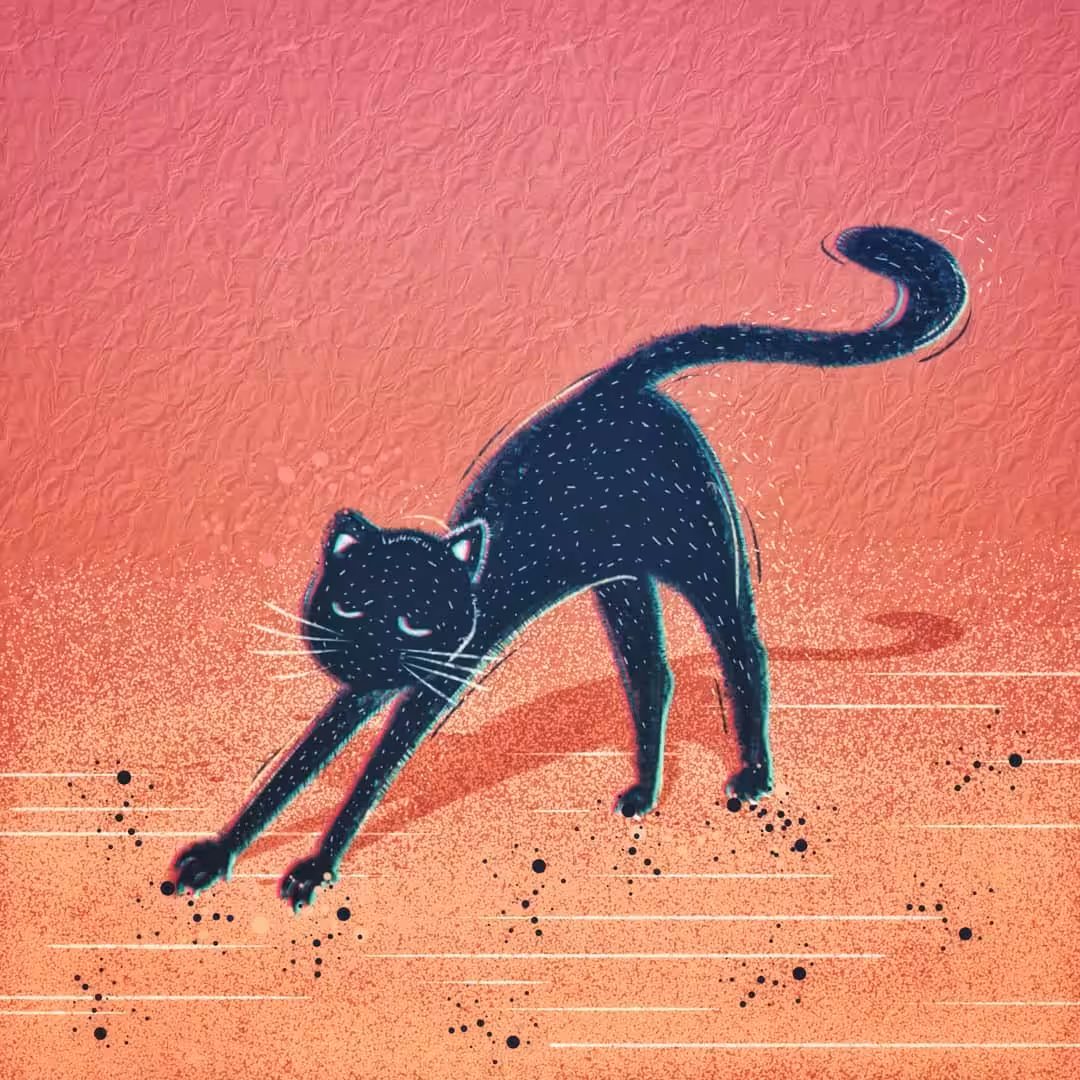 Miaow