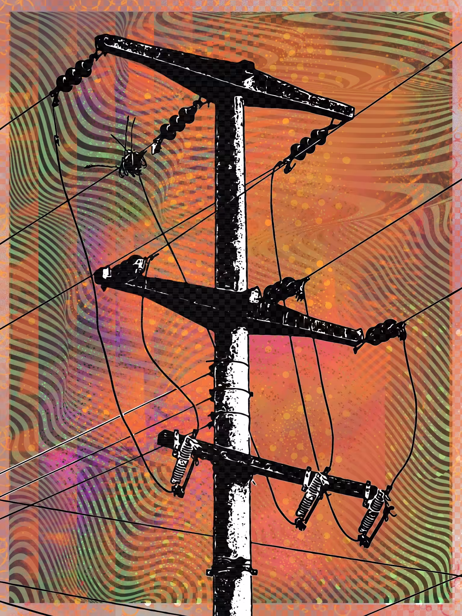 Cables V61