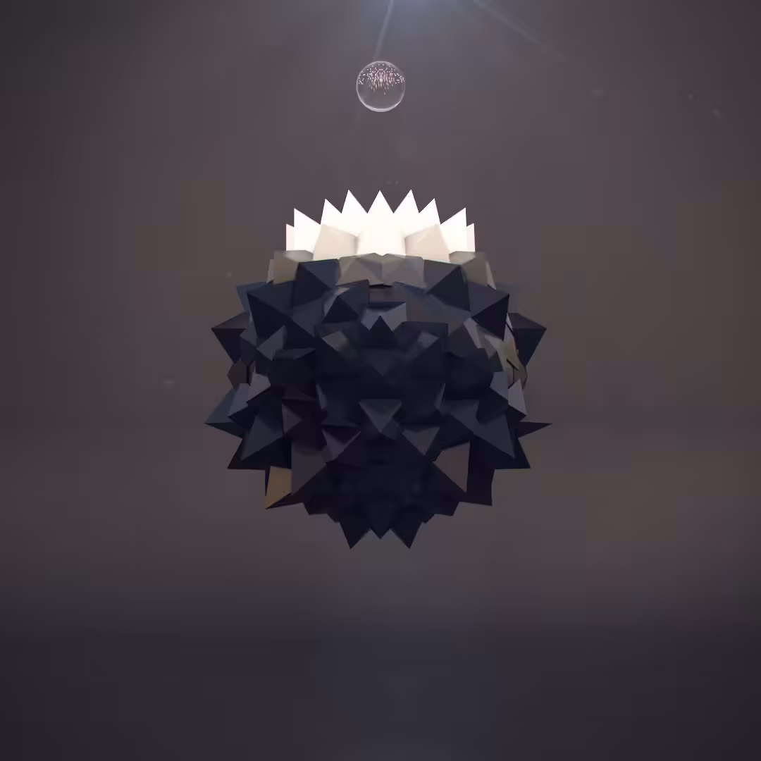 Daily Shit #7
