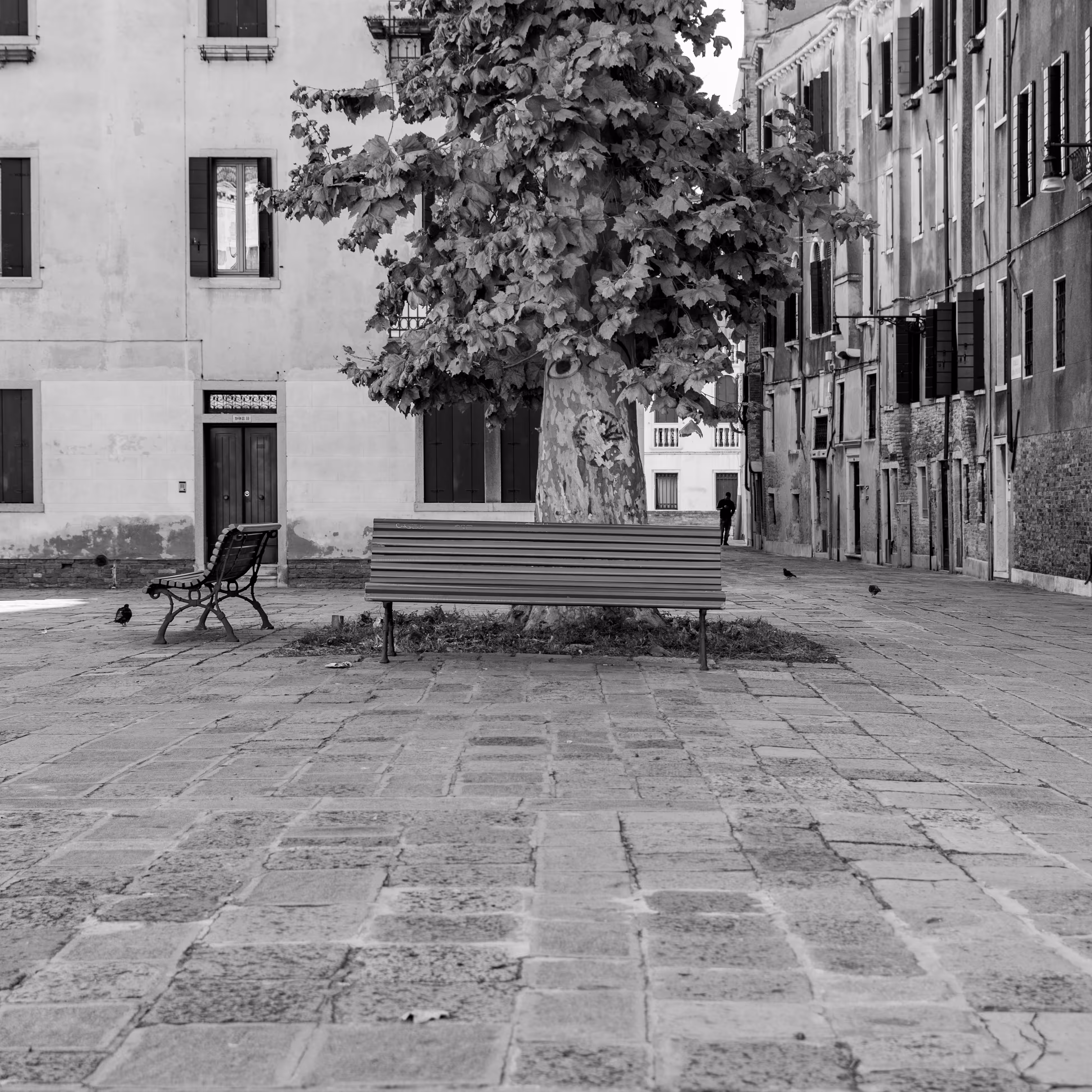 City 02/1 | Giacomo