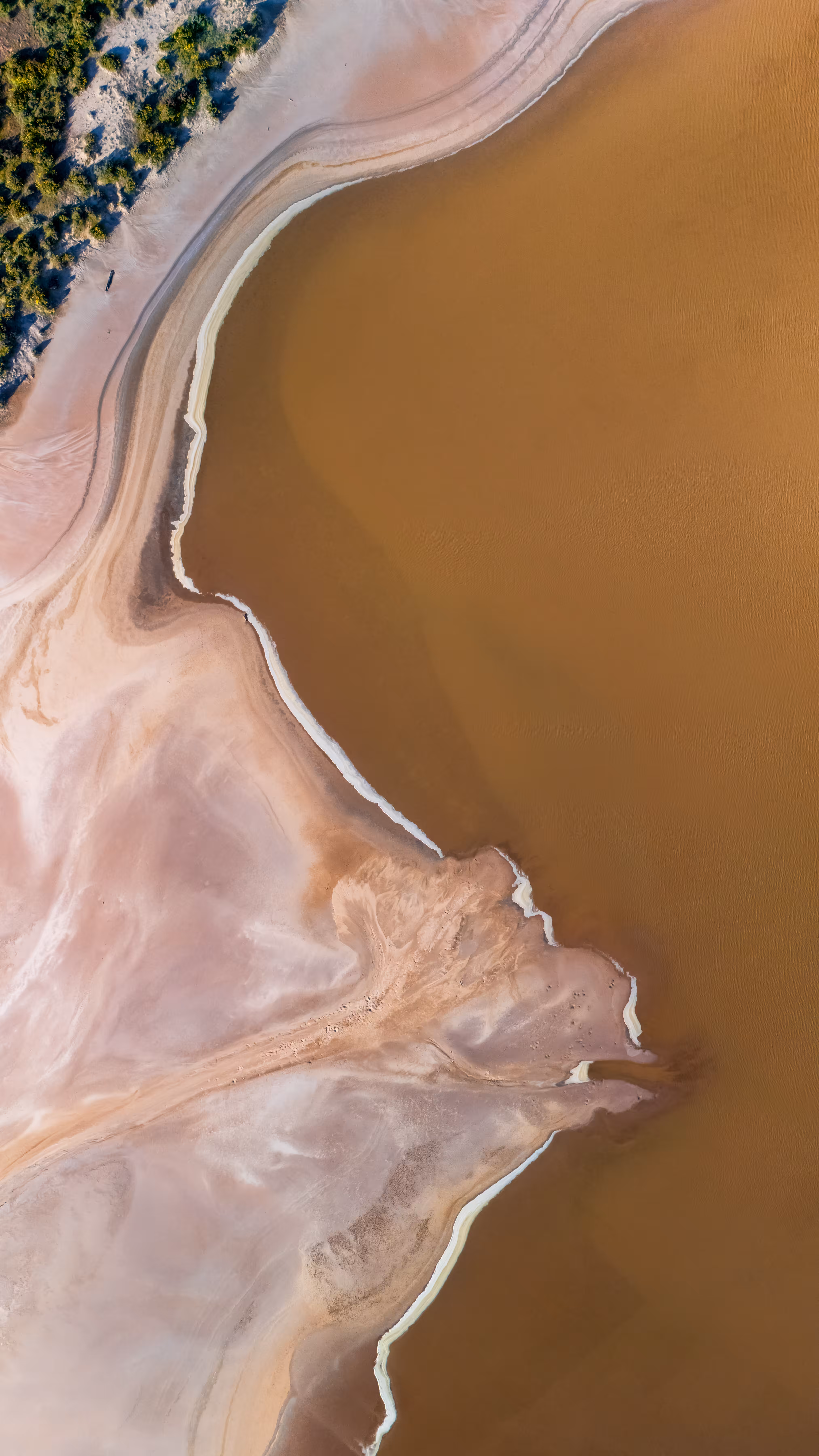 ChocolateMilk
