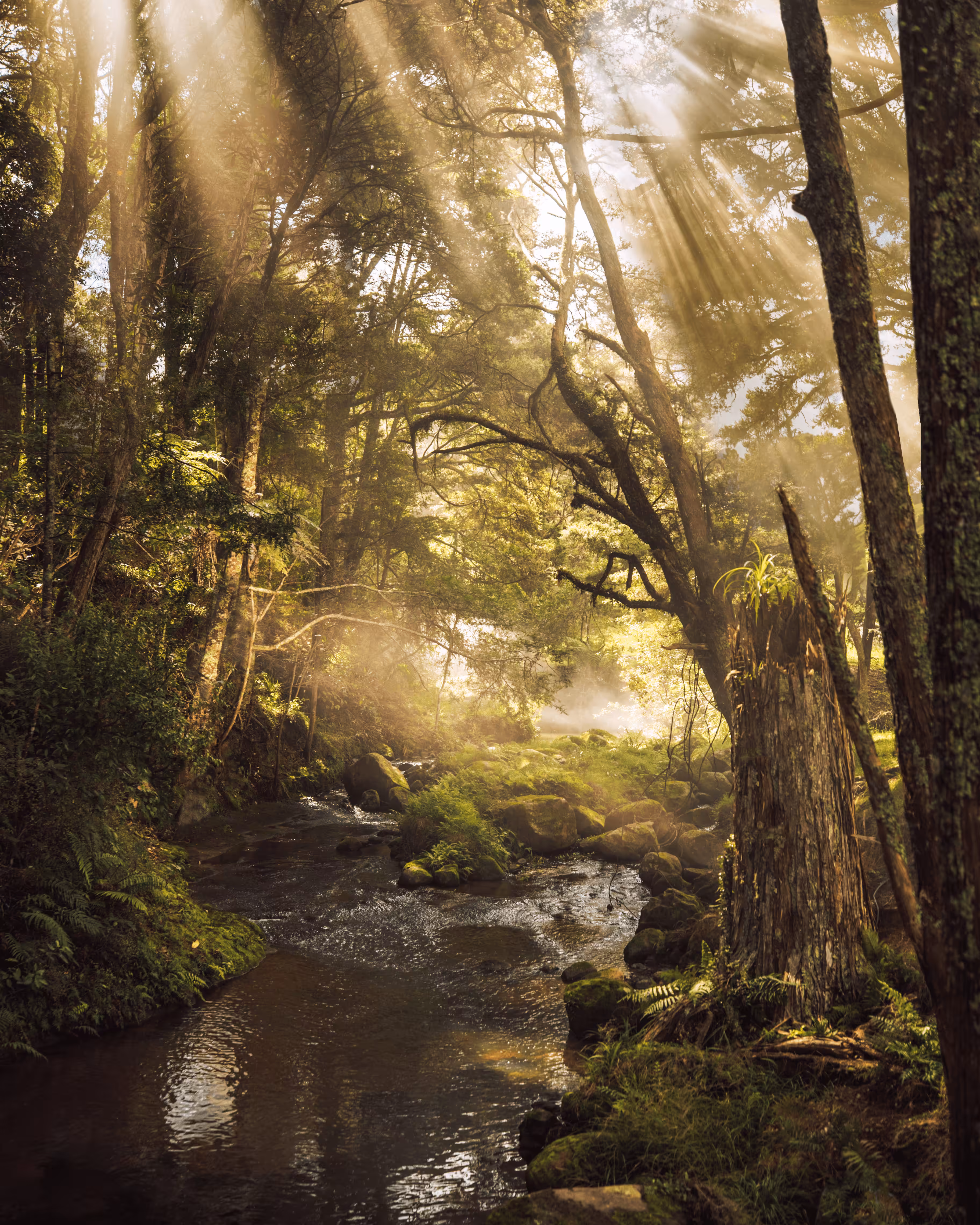 #29. North Island, New Zealand