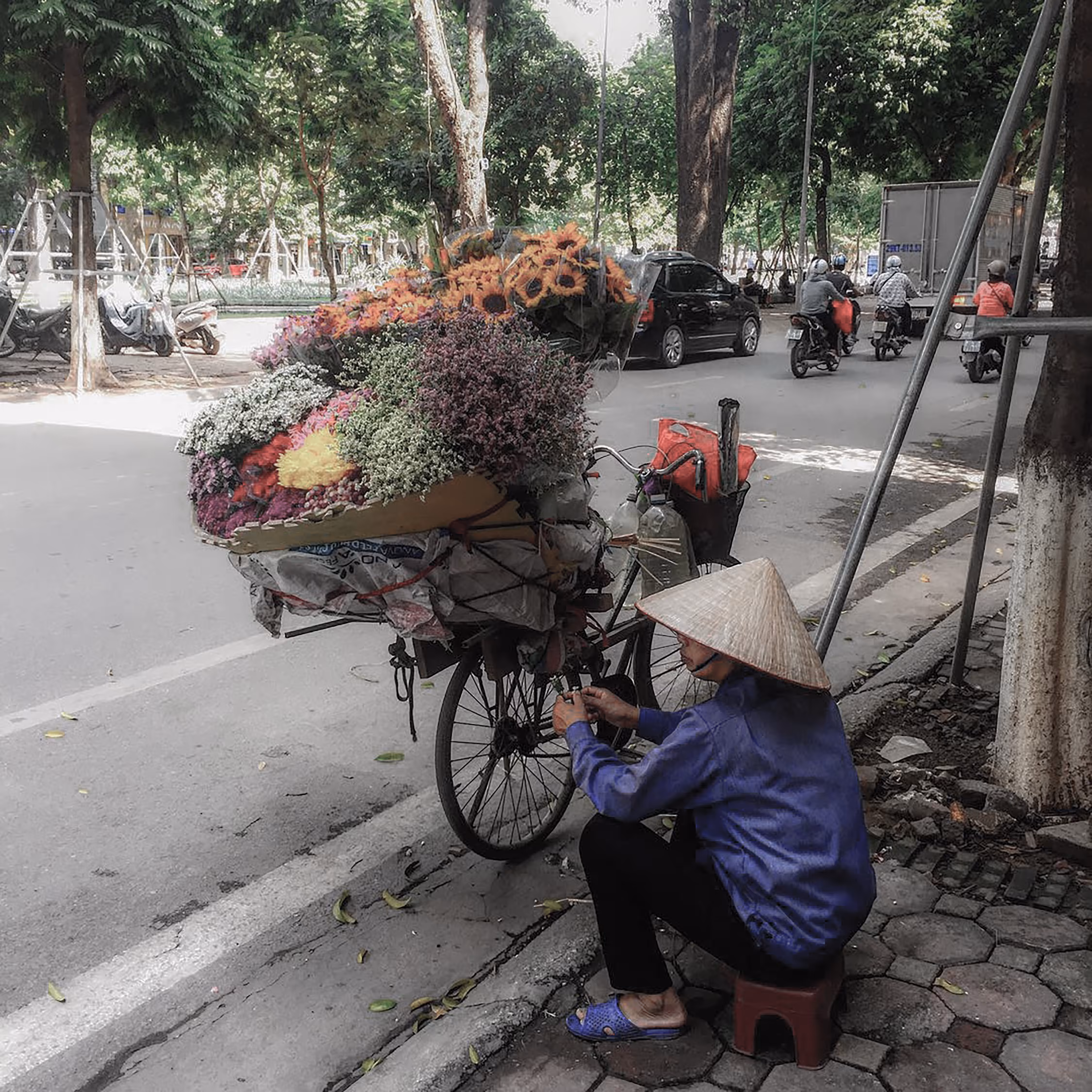Flowers on the street