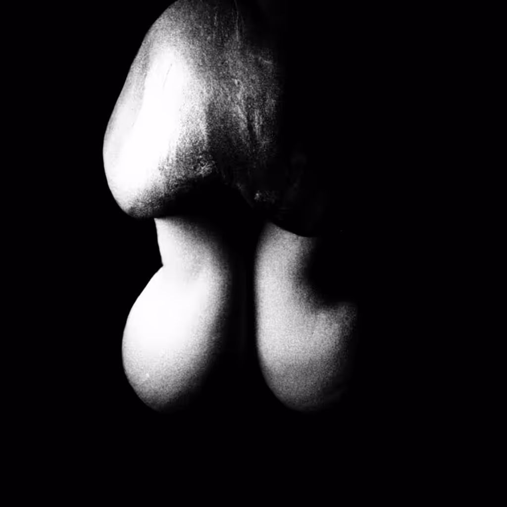 Bodies & Mushroom 