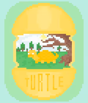 TURTLE 'JAKE'