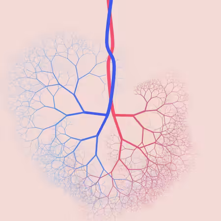 capillary trees #11