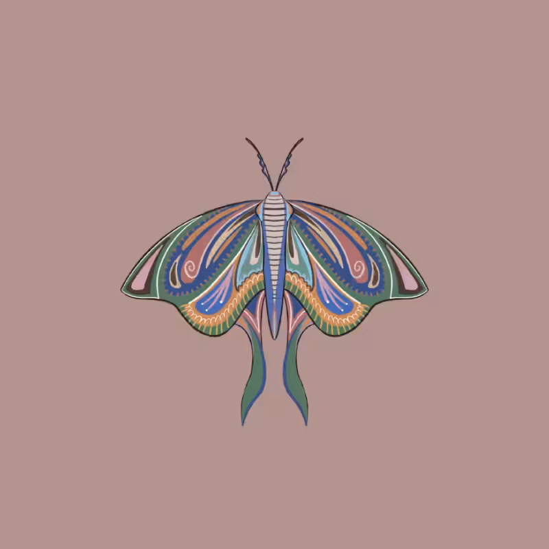 The Moth Experiment 2.0 P2 #15