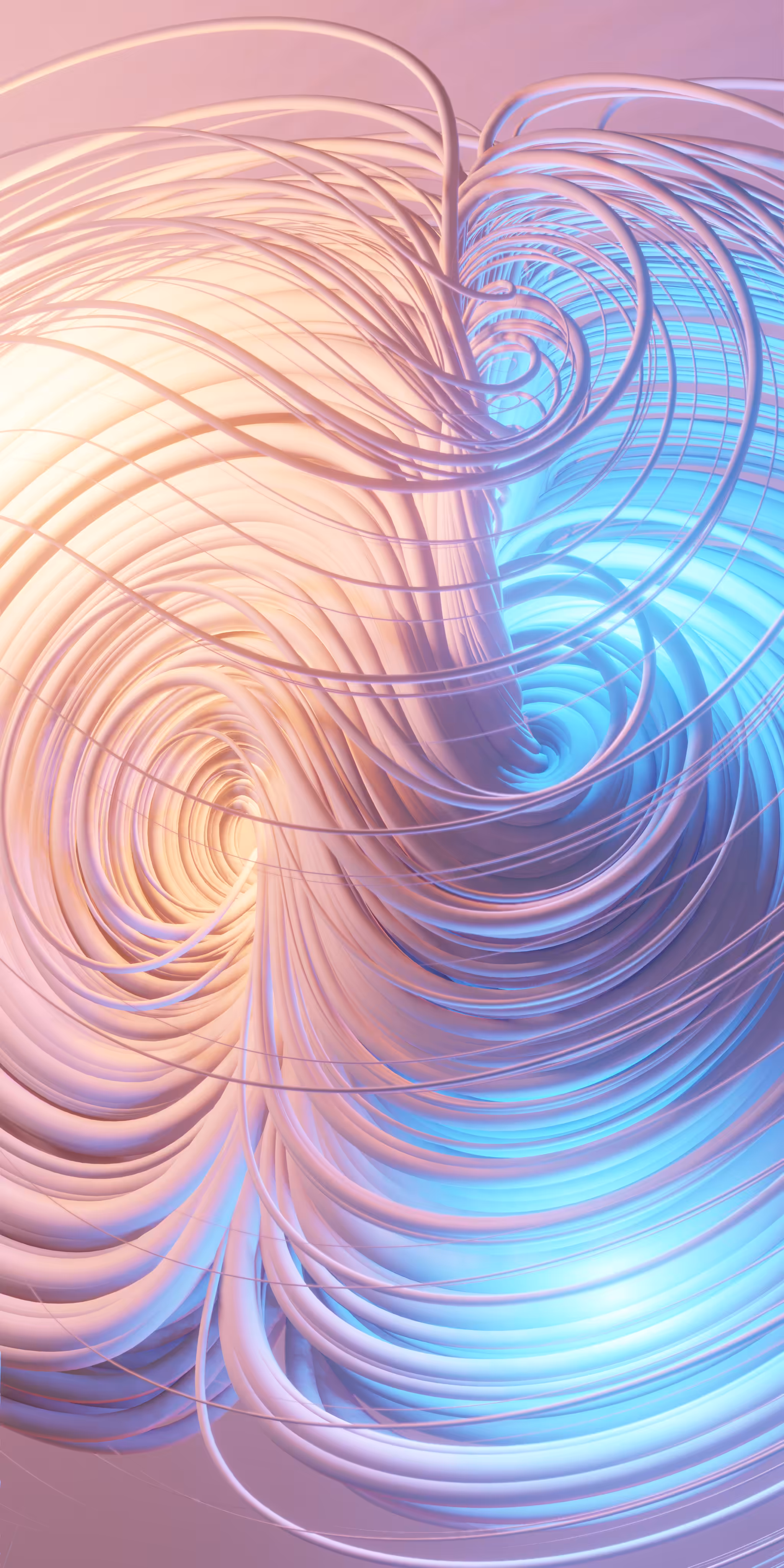 Portrait Nosé-Hoover Attractor