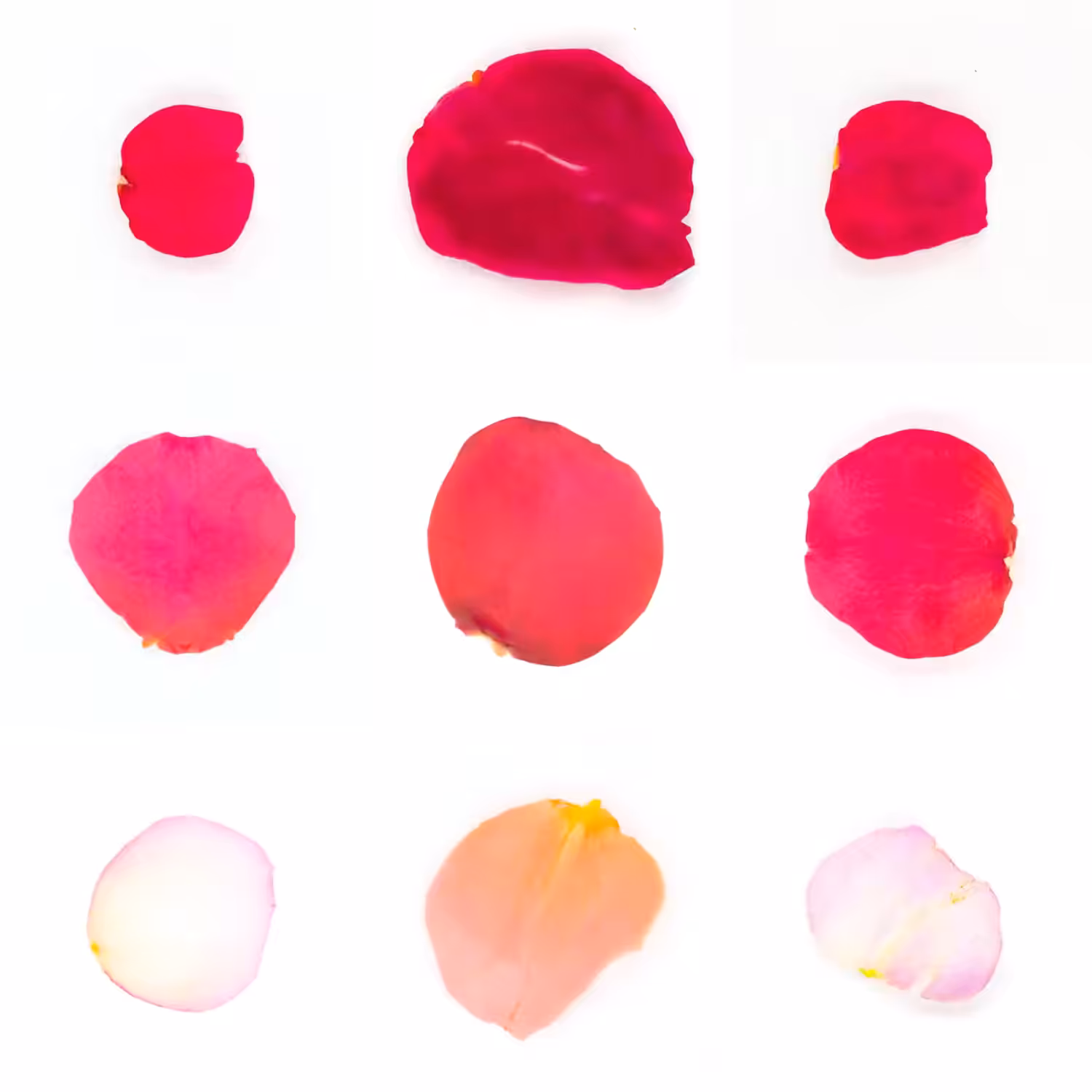 Infinite Petals 3x3#3467
