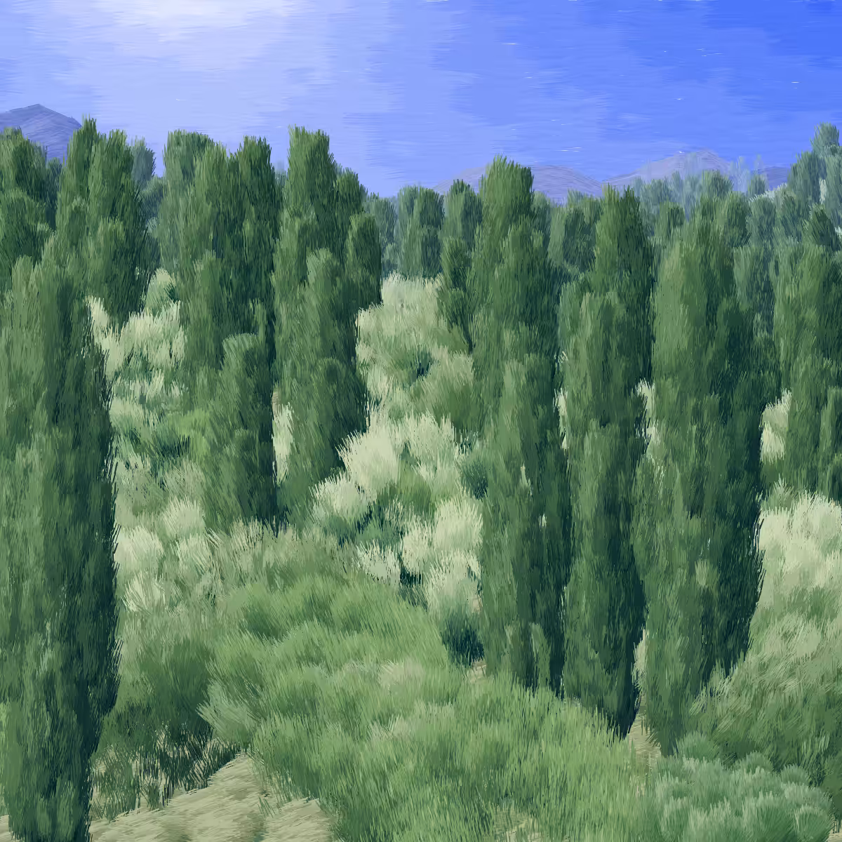 Provence #253