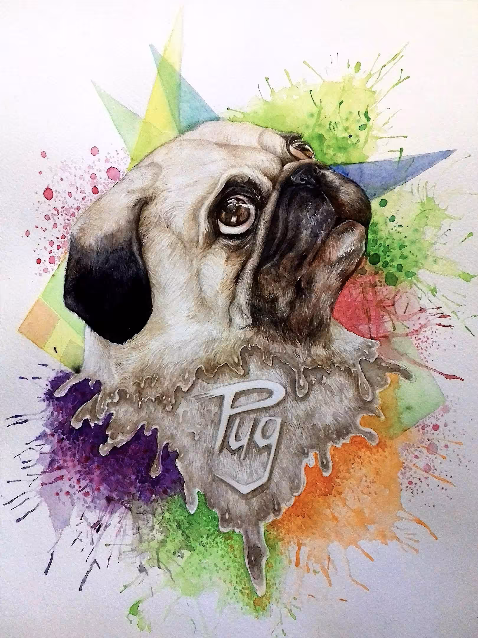 Cute Pug