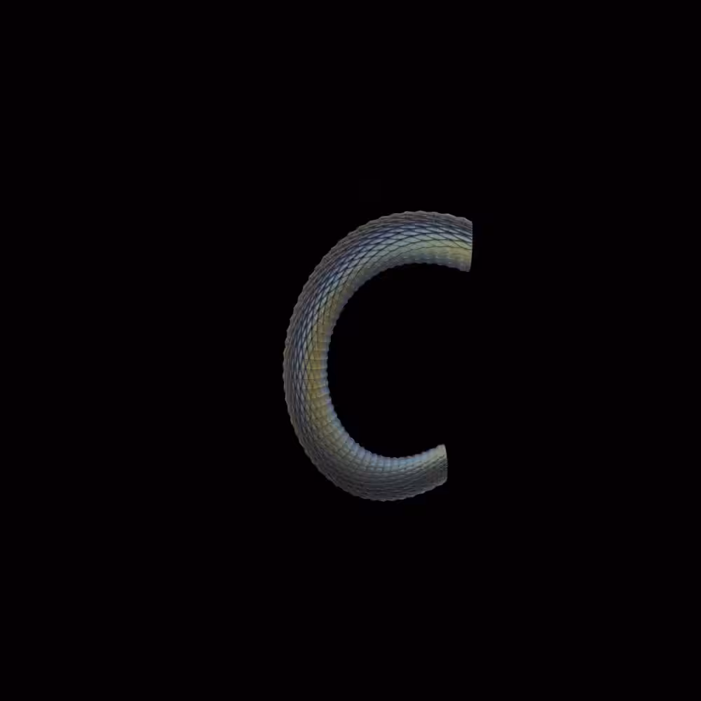 Cutted snake