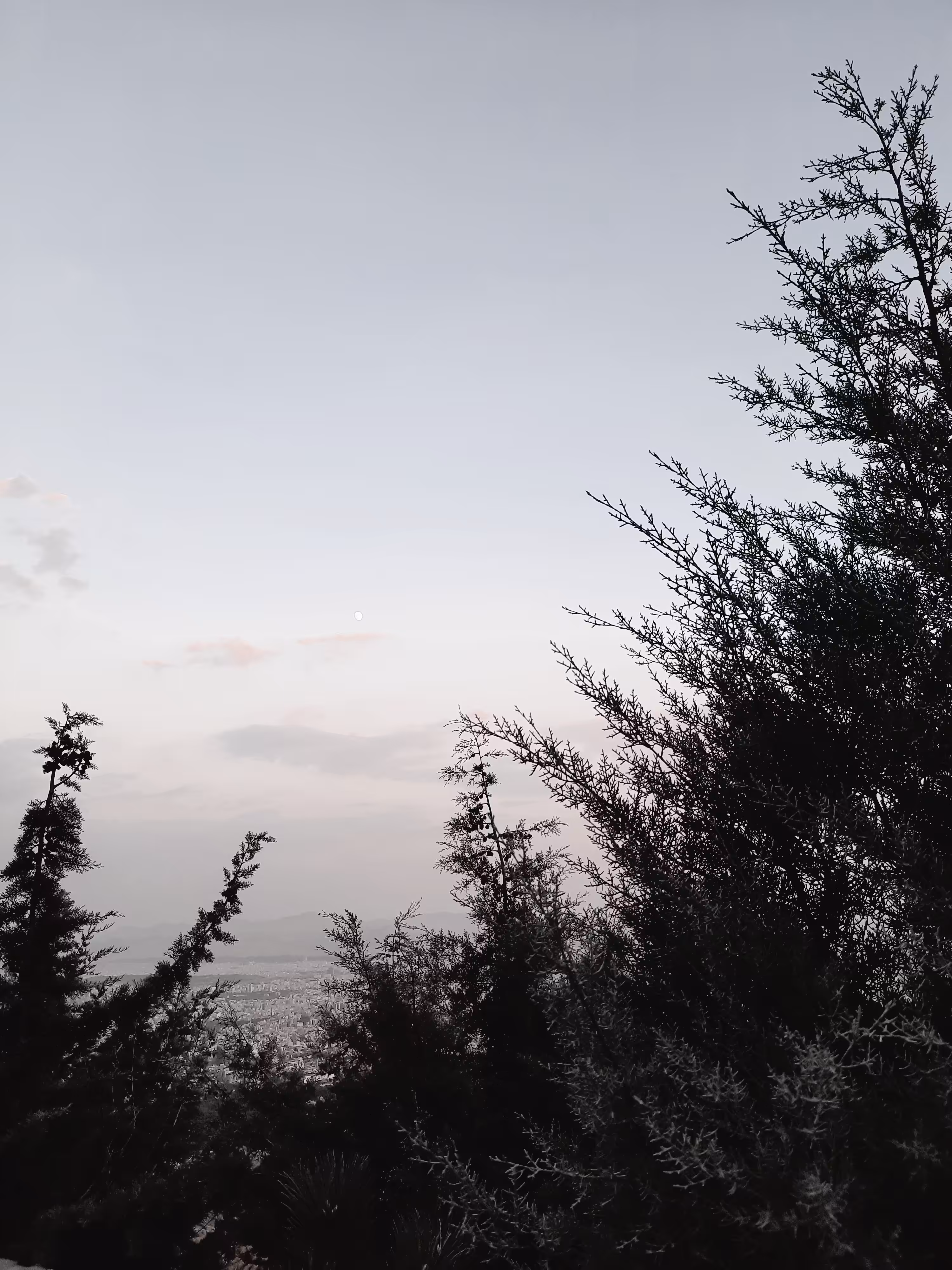 find the moon