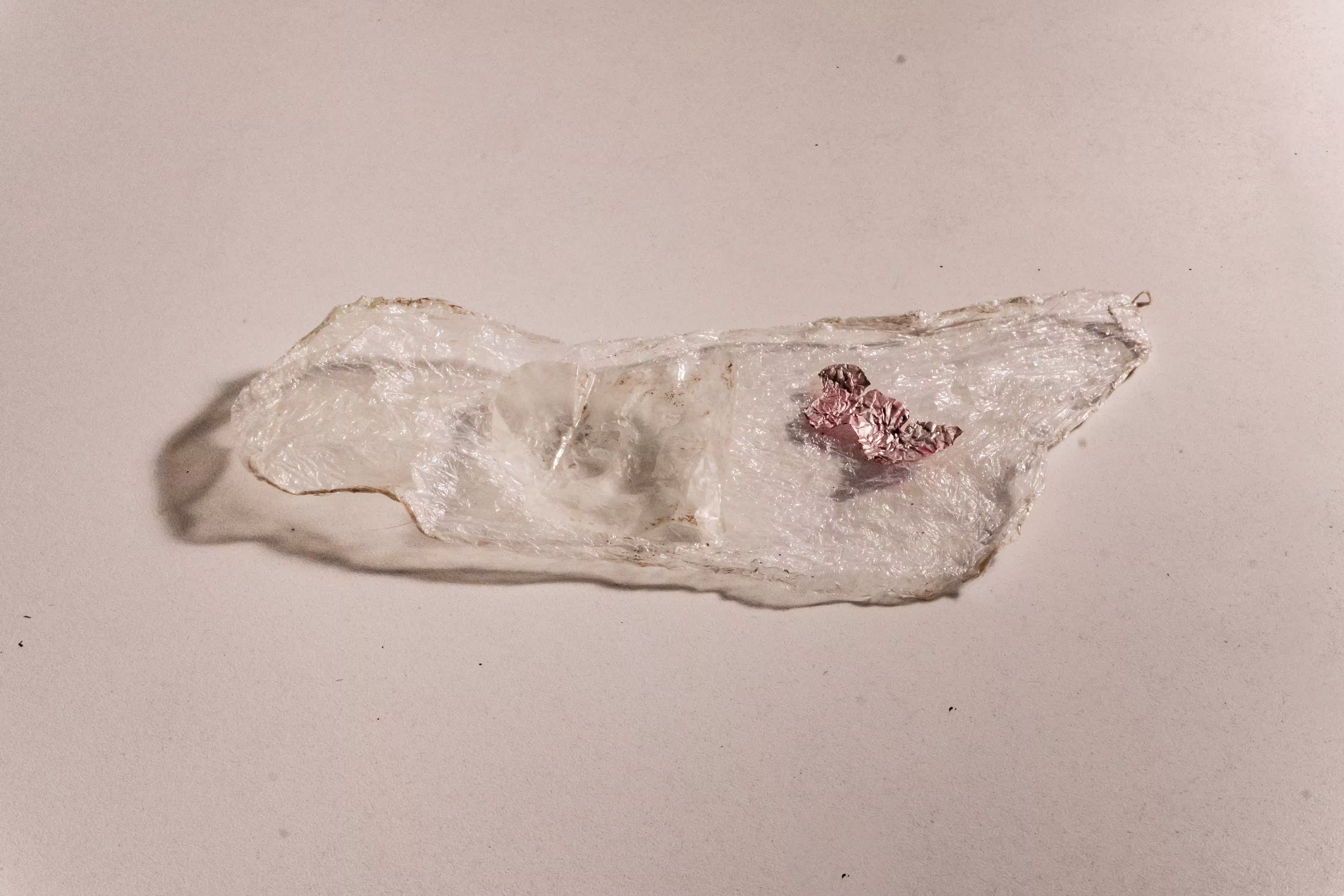 METAMORFOSIS 6
