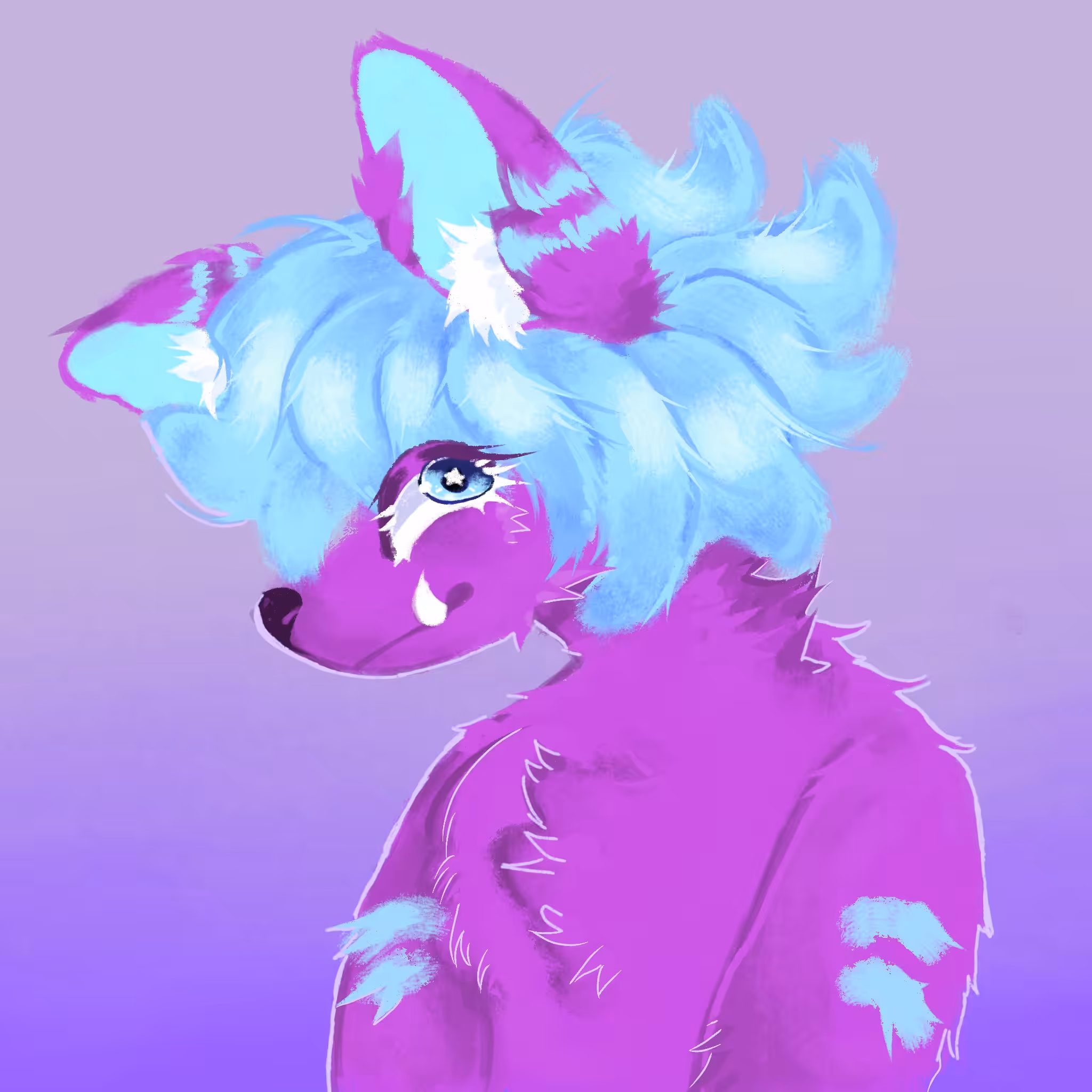 Foxy first