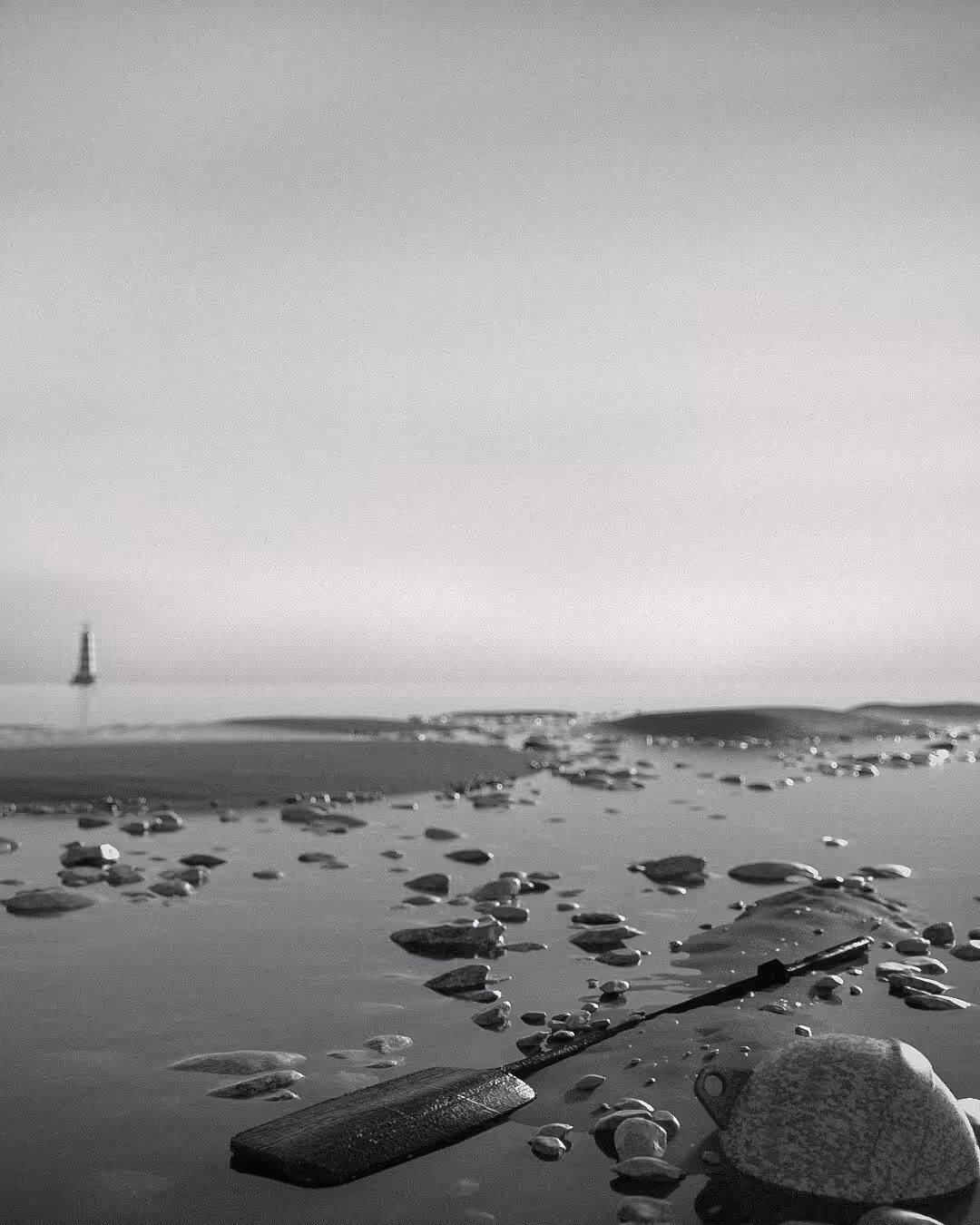 Grey - 08