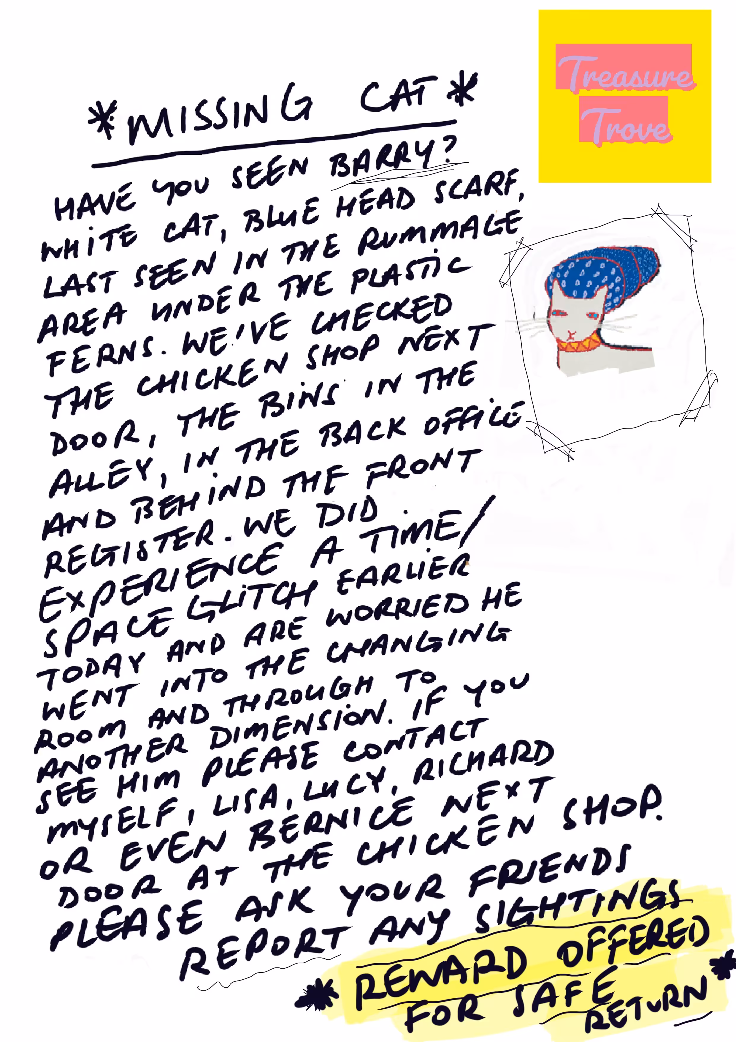 Treasure Trove - Original ‘Barry the Cat is missing’ flyer TTB1