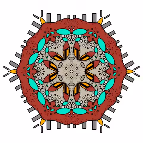eukaryota_4805